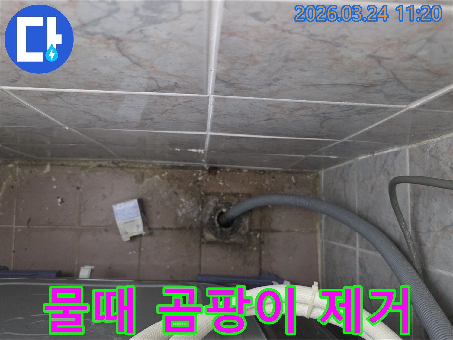 세탁실-바닥-배수구-주변에-발생한-심각한-물때와-곰팡이-제거가-필요한-누수-현장