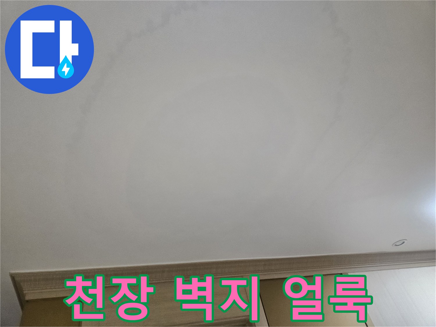 천장 벽지 곳곳에 나타난 물샘 흔적과 변색된 부위