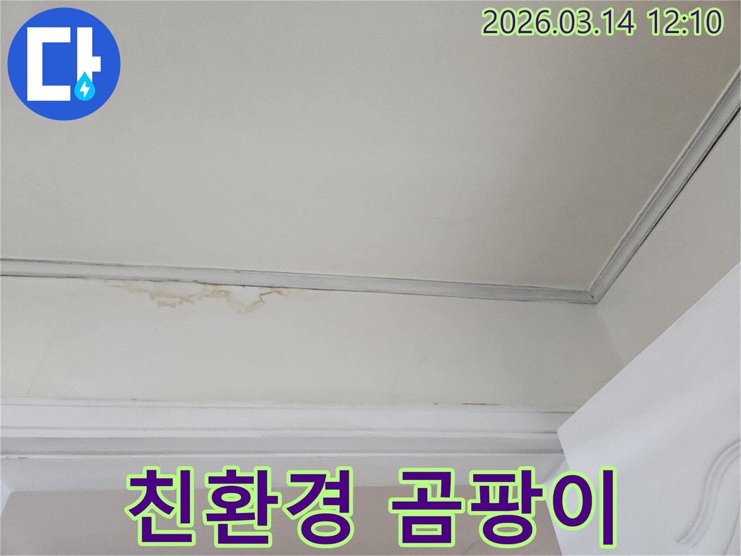 천장-모서리에-발생한-누수-흔적과-함께-곰팡이가-시작된-모습을-보여주며-친환경-곰팡이-제거의-필요성을-강조하는-사진입니다