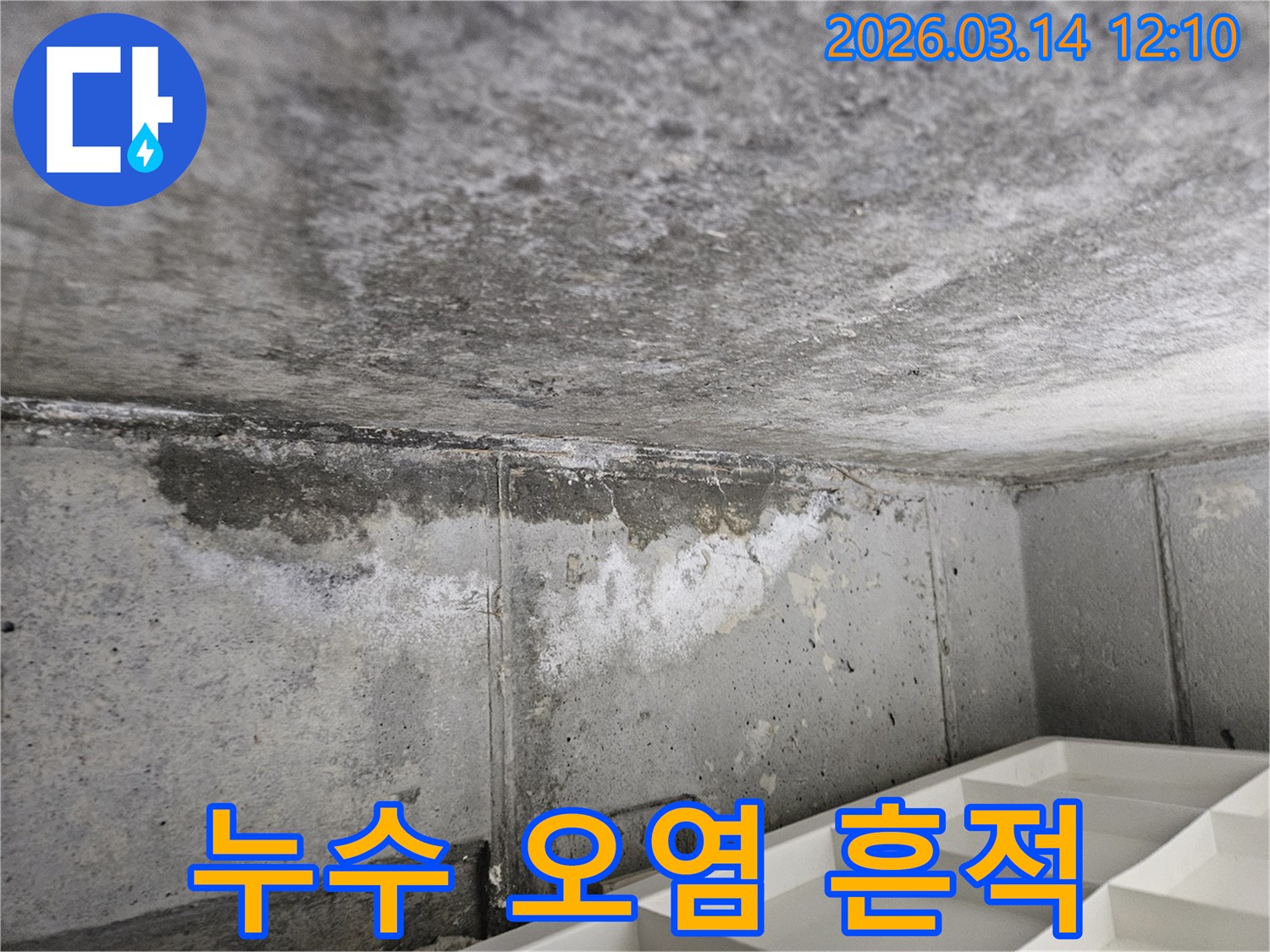 콘크리트-천장과-벽면-경계에서-발생한-누수로-인한-오염과-습기-침투