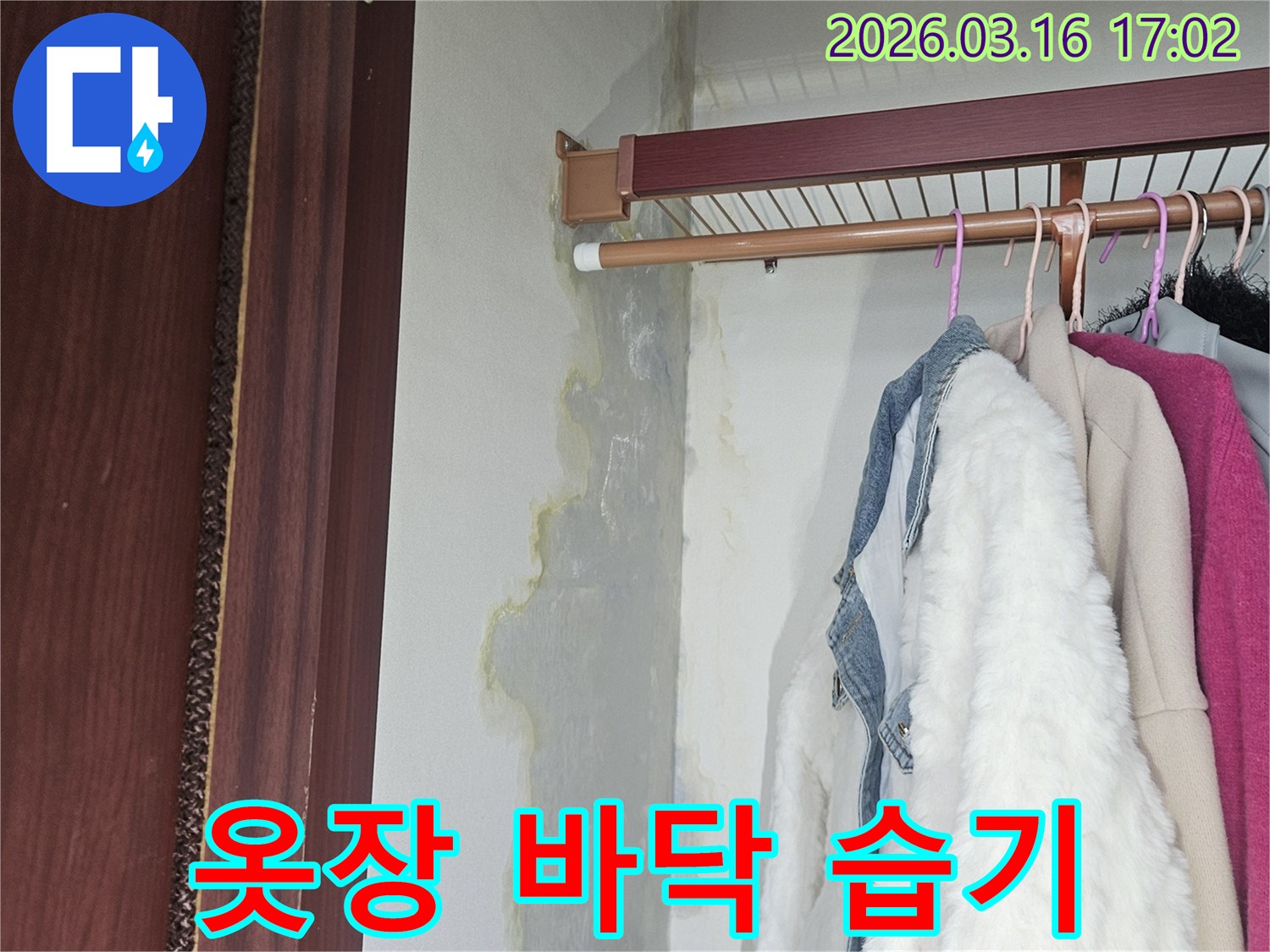 옷장 내부 바닥에-누수로 인한-습기와-물자국이-고여있고-벽면 하단부가-젖어있는 모습