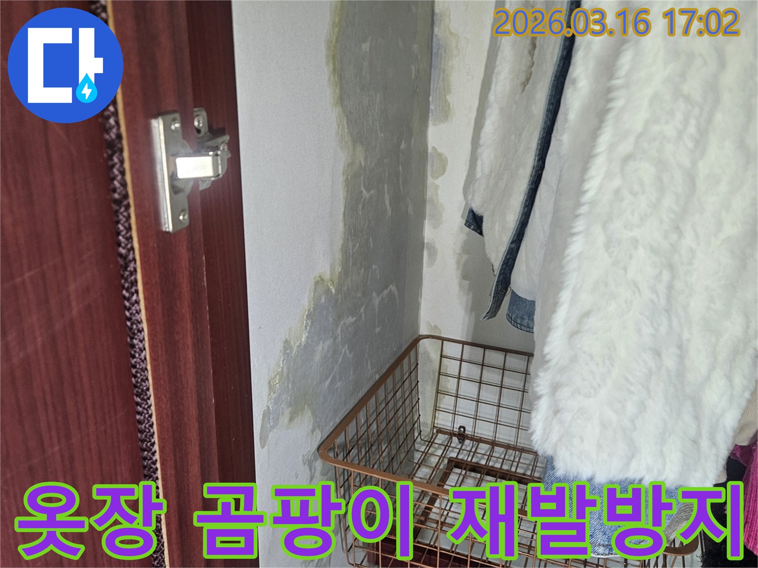 옷장 내부- 벽면에 생긴- 곰팡이와- 물기로 인한- 손상 부위