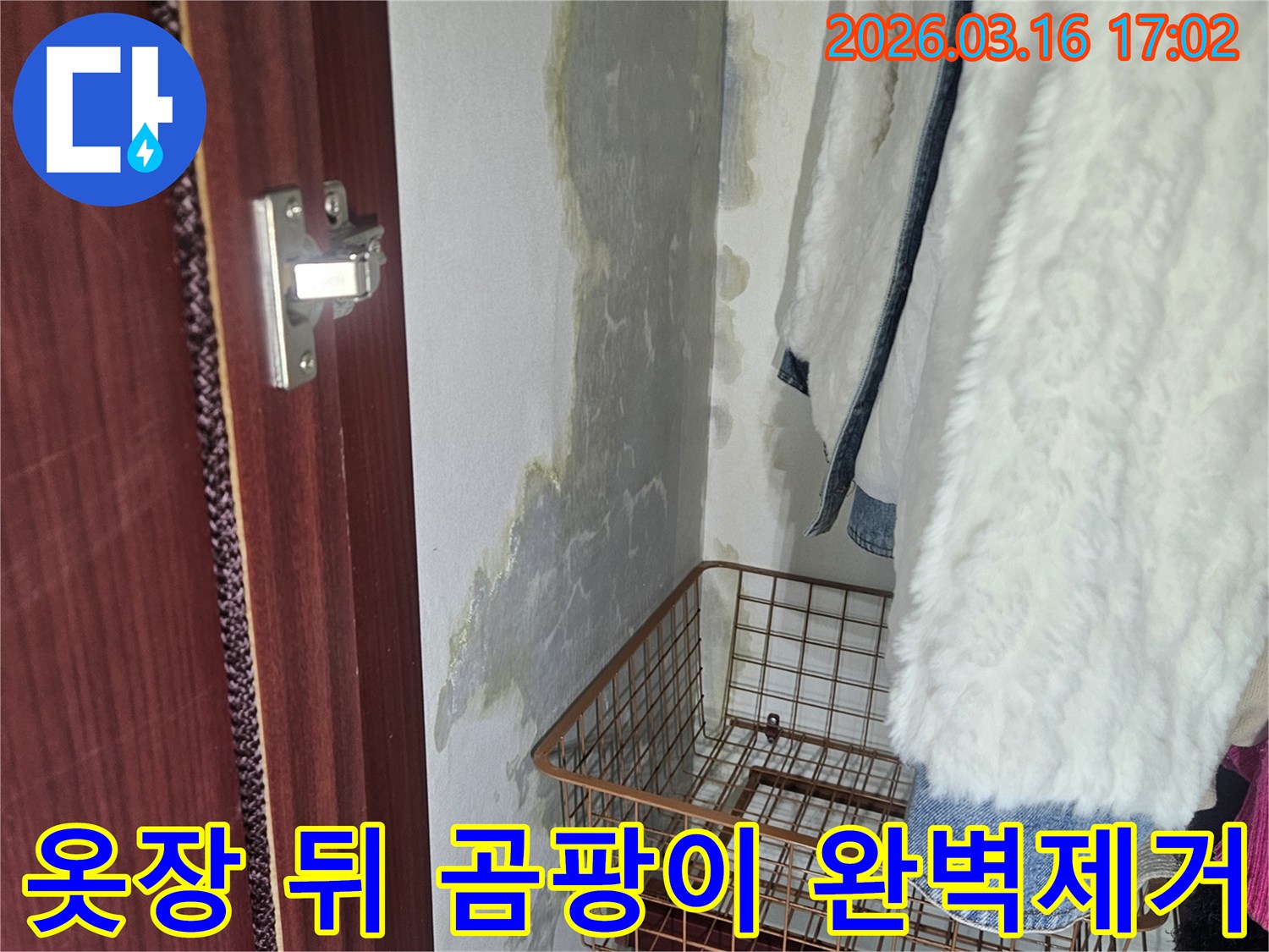 옷장 뒤편- 벽면에 생긴- 곰팡이와- 물기로 인한- 오염 부위