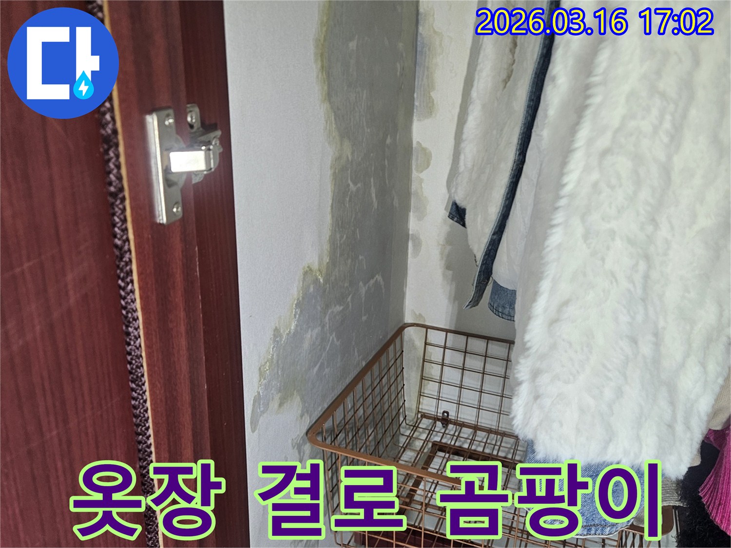 옷장 안쪽 벽면에- 발생한- 결로 현상과- 곰팡이로 인한- 오염