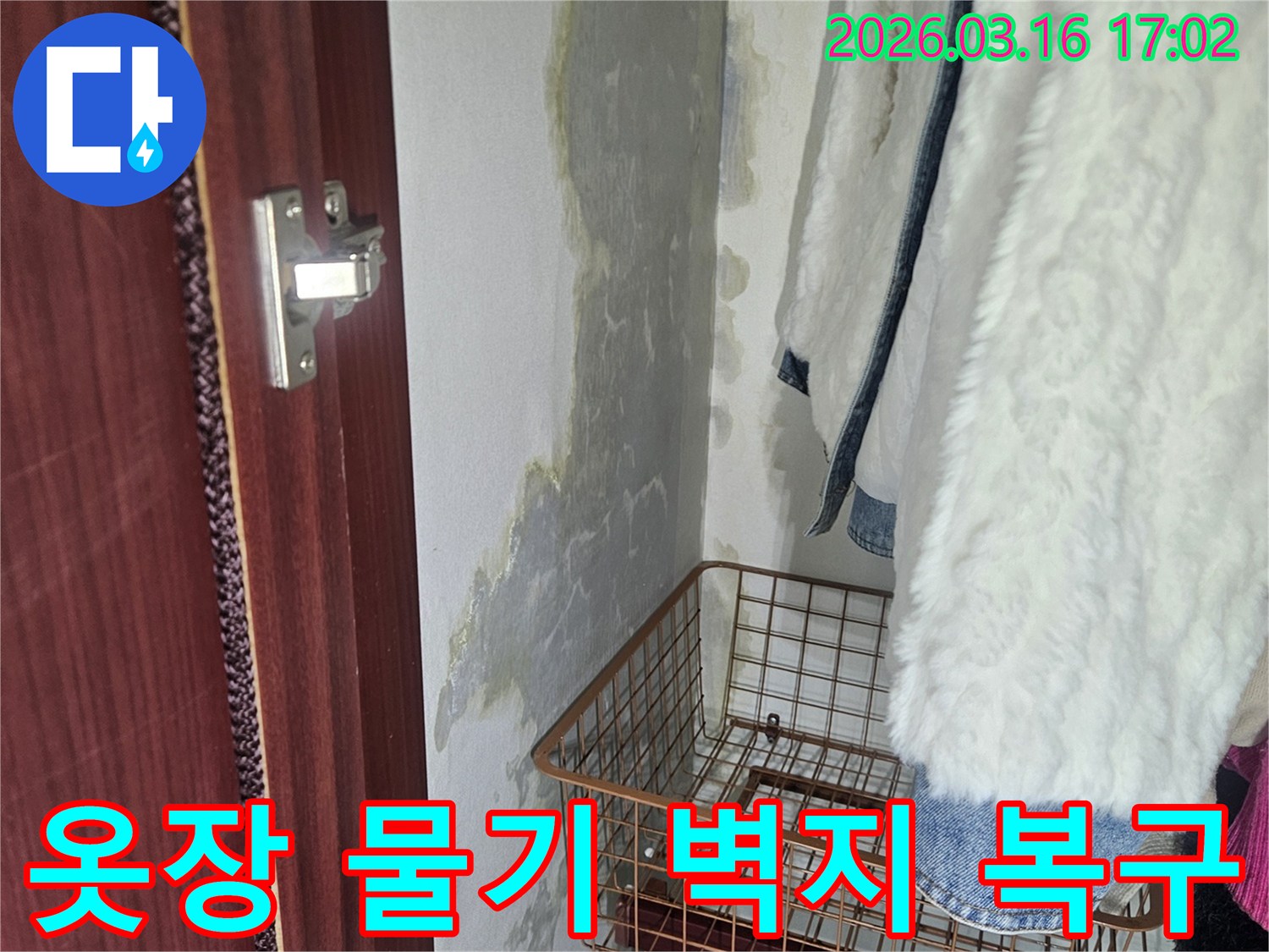 옷장 안쪽- 벽면에 생긴- 물기와- 곰팡이로 인한- 심각한 벽지 손상