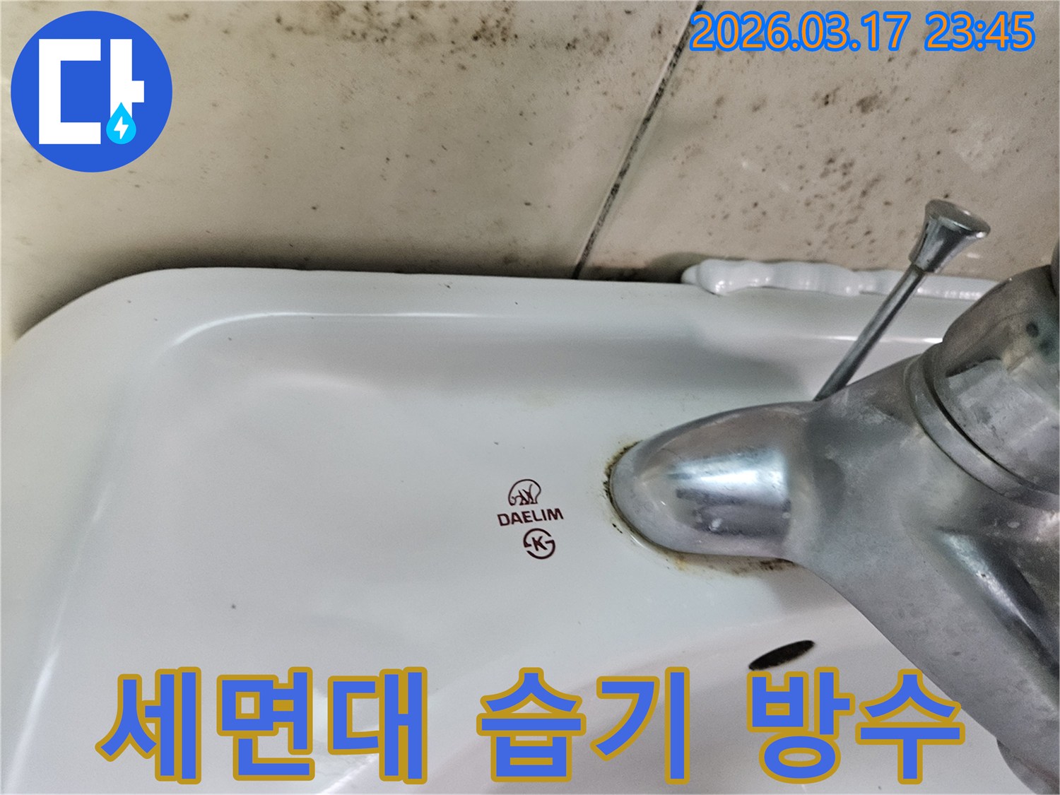 대림 세면대 수도꼭지 주변의 물때와-벽면에 번진 곰팡이가 벽면 습기 문제를 보여주는 사진입니다.