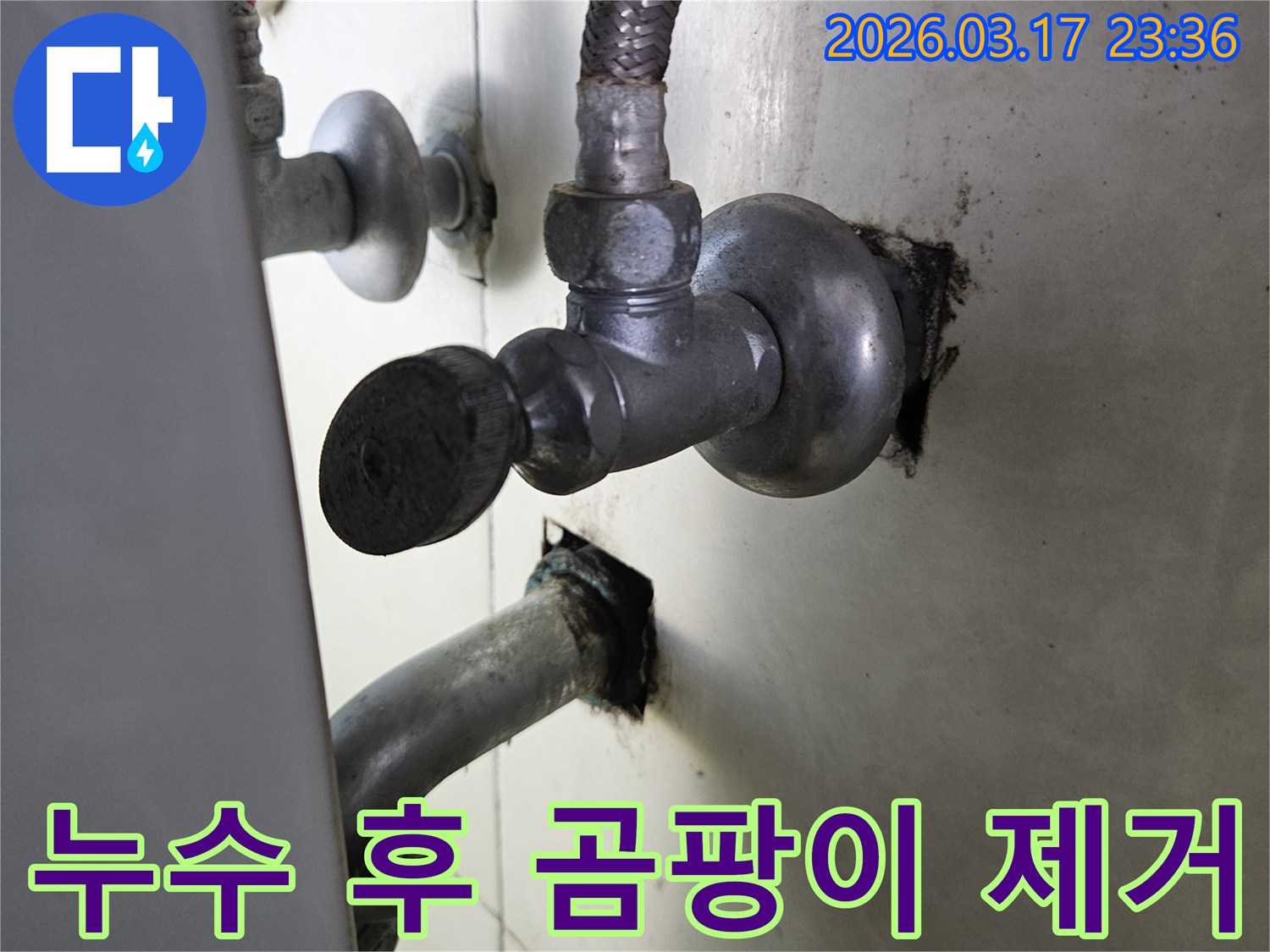 싱크대 하부의 누수로 인해-발생한 곰팡이를-전문적으로 제거하는 현장입니다.