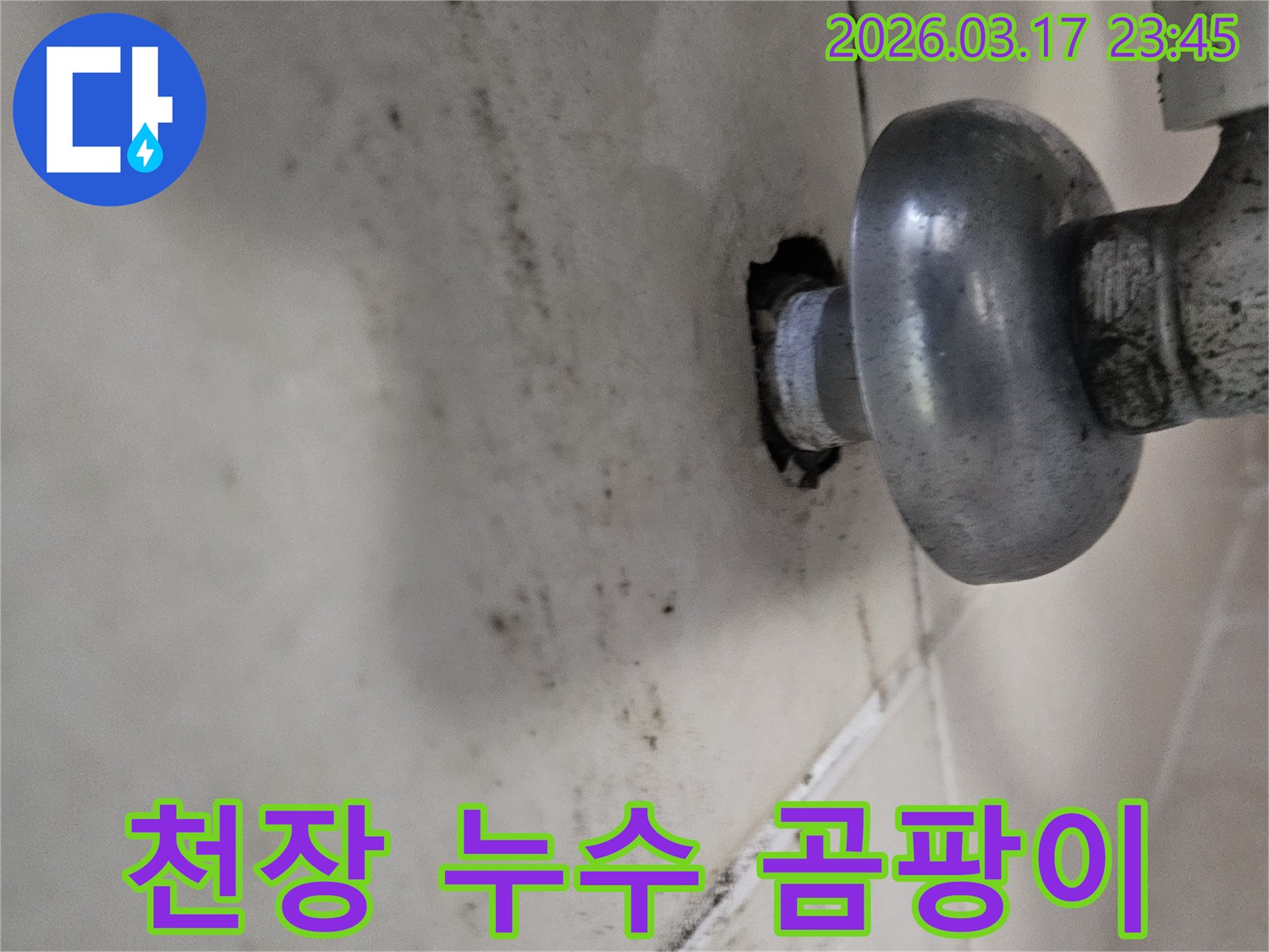 오랜 시간 지속된 누수로 인해-천장 마감재가 손상되고 곰팡이가 번식했습니다