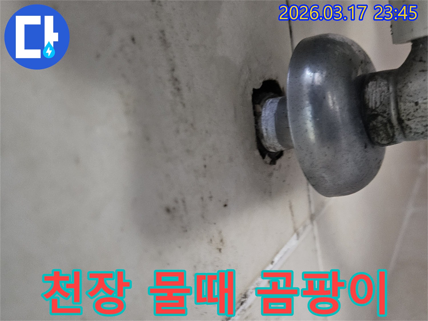 오랜 시간 지속된 누수로 인해-천장 마감재가 손상되고 곰팡이가 번식했습니다
