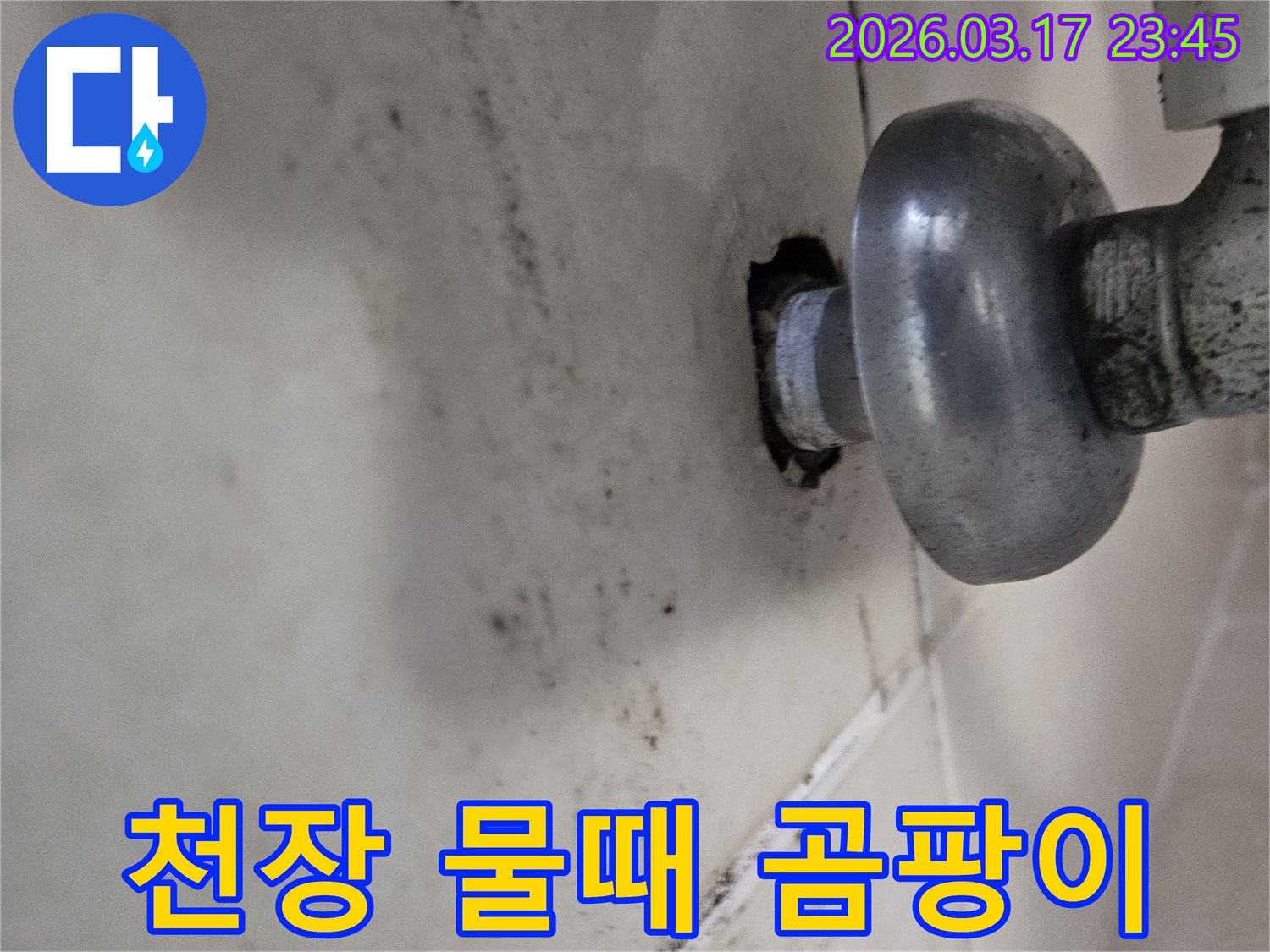 오랜 시간 지속된 누수로 인해-천장 마감재가 손상되고 곰팡이가 번식했습니다