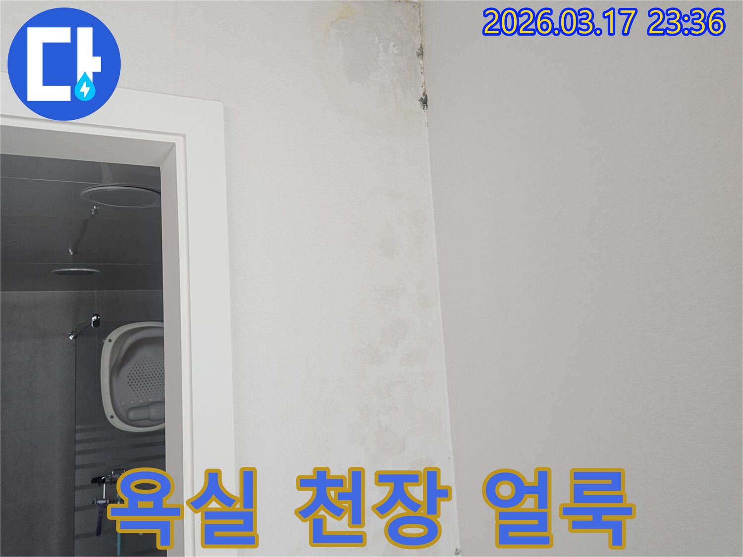 욕실-천장-모서리에-나타난-물-얼룩과-곰팡이-확인