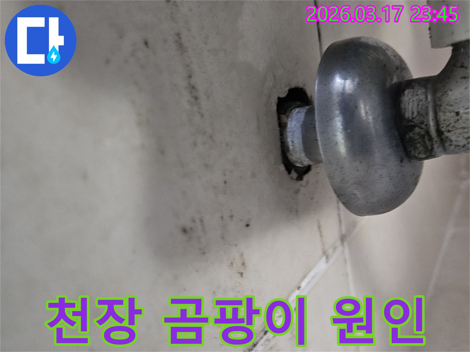 이 사진은 천장 배관 주변의 누수로 인해-곰팡이와 물때가 심하게 생긴 모습을 보여줍니다