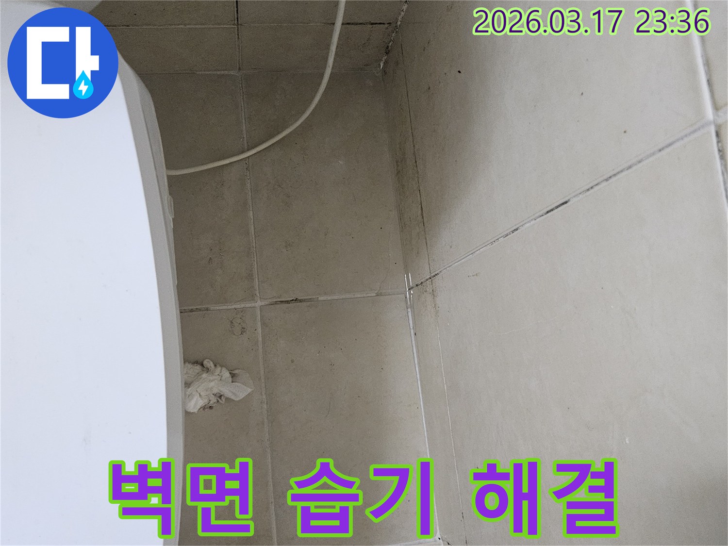 이 이미지는-벽면과-천장-모서리에-발생한-심각한-곰팡이와-오염을-보여주며-이는-지속적인-습기-침투로-인한-누수-문제임을-시사합니다