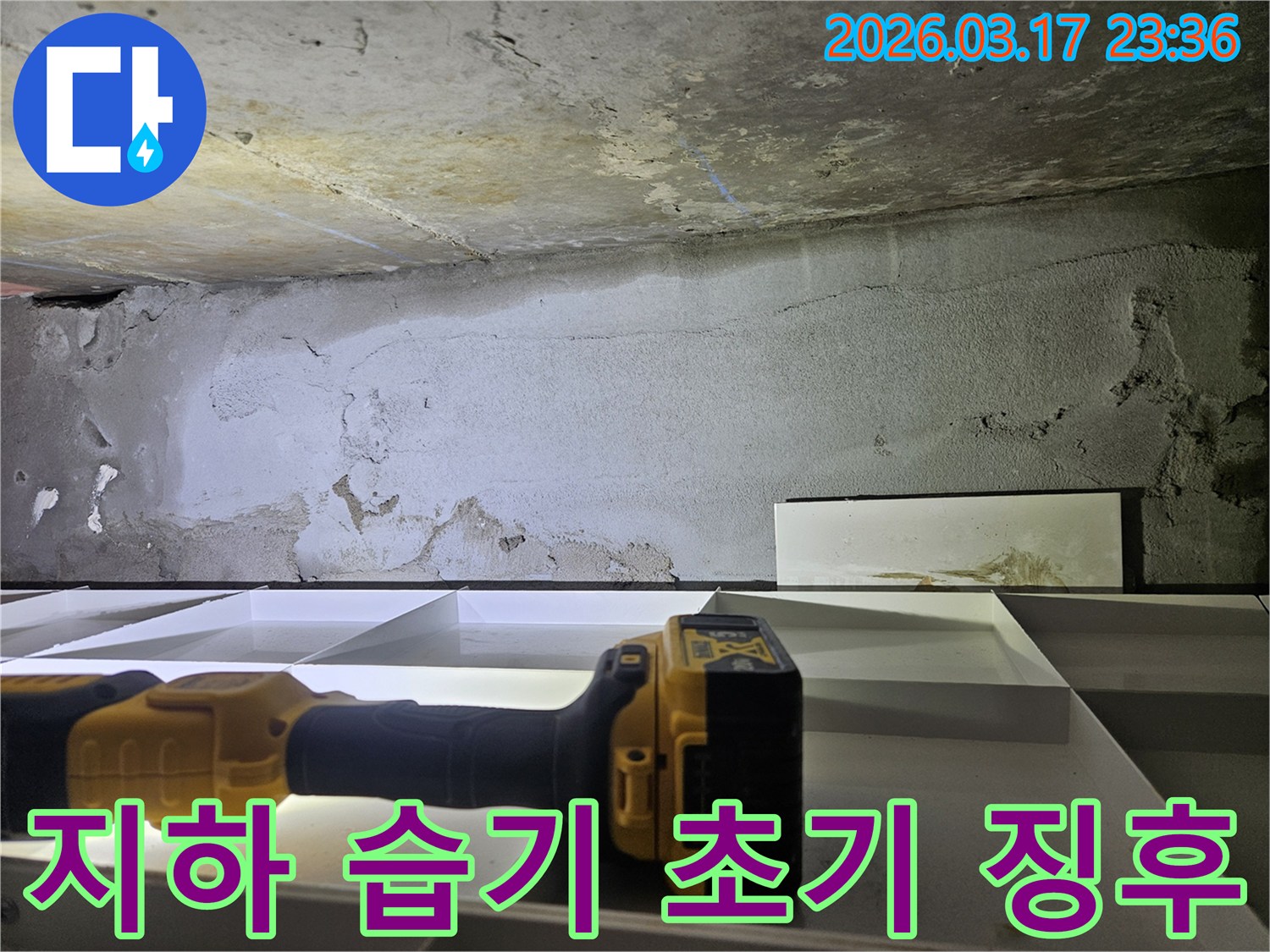 전문 엔지니어가-지하 공간의 벽면에서 발견된-초기 습기 징후를-정밀 탐지 장비로 확인하고 있습니다.