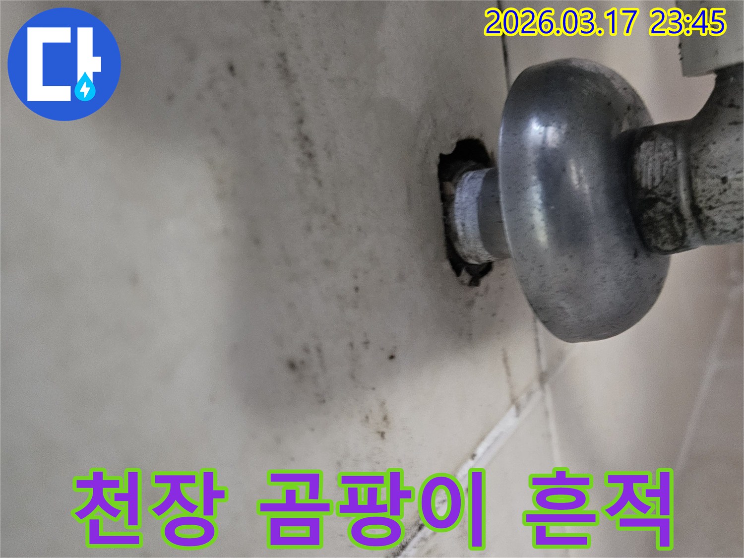 천장 배관 주변에 오래된 누수로 인해-심각하게 번진 곰팡이와 물때가 보입니다