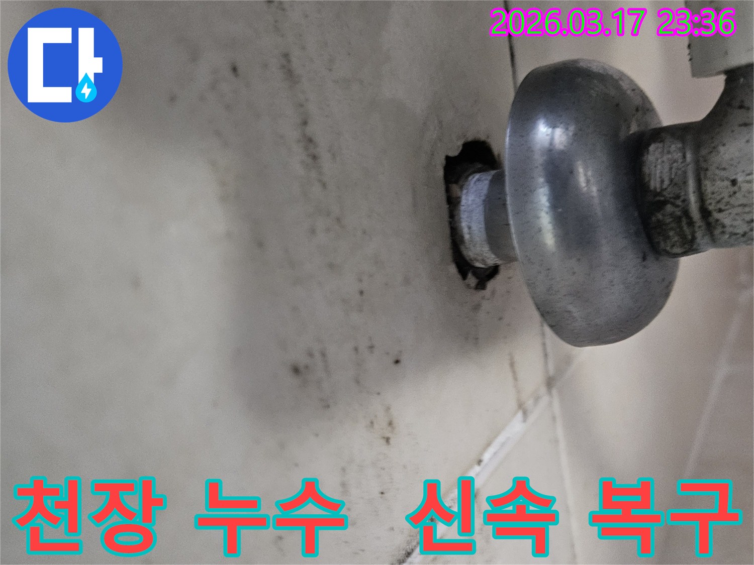 천장-배관에서-발생한-누수로-인해-오염된-벽면과-신속한-복구-작업이-필요한-배관-모습