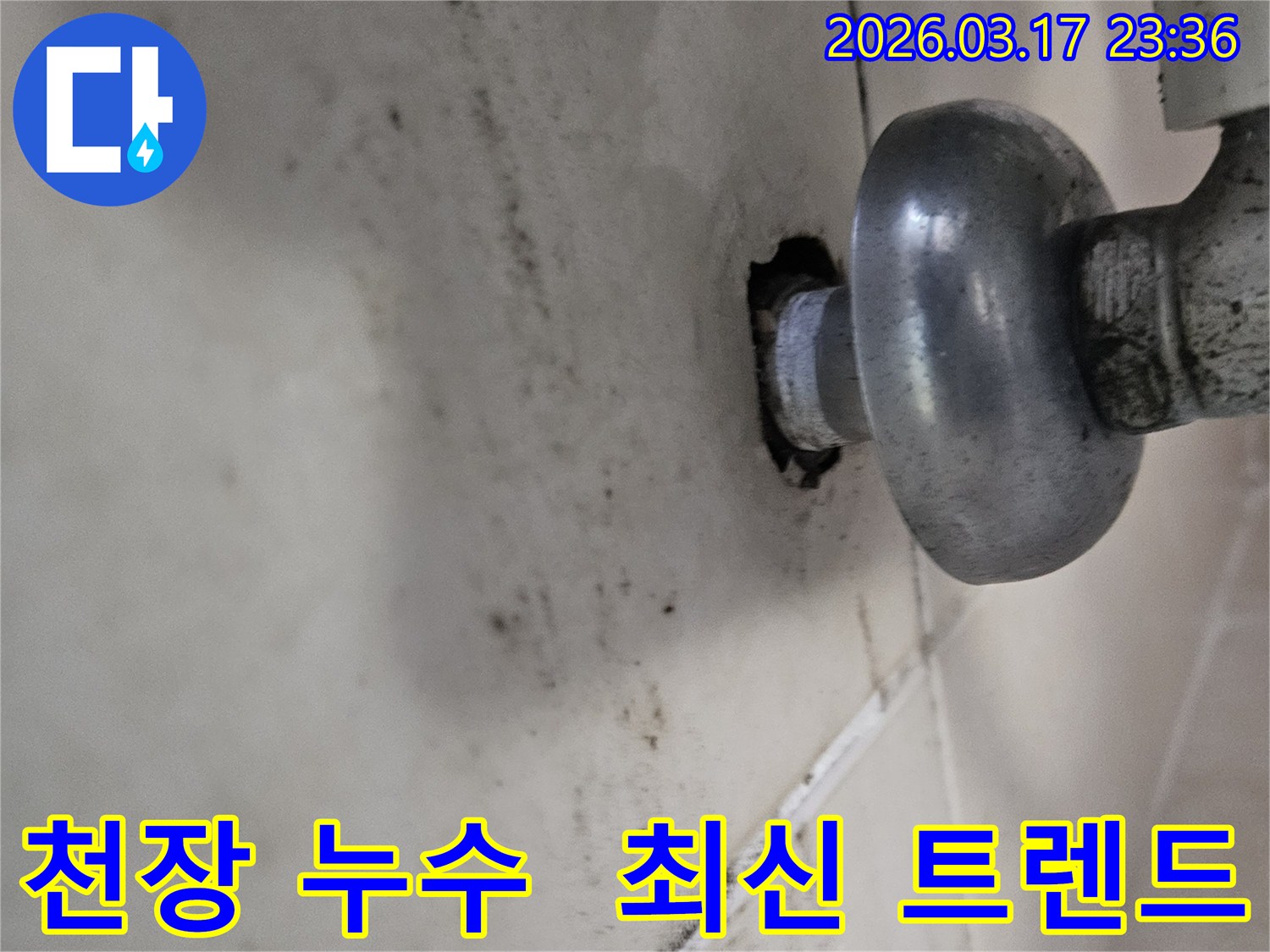 천장-배관에서-발생한-누수로-인해-오염된-벽면과-최신-트렌드-반영-시공이-필요한-배관-모습