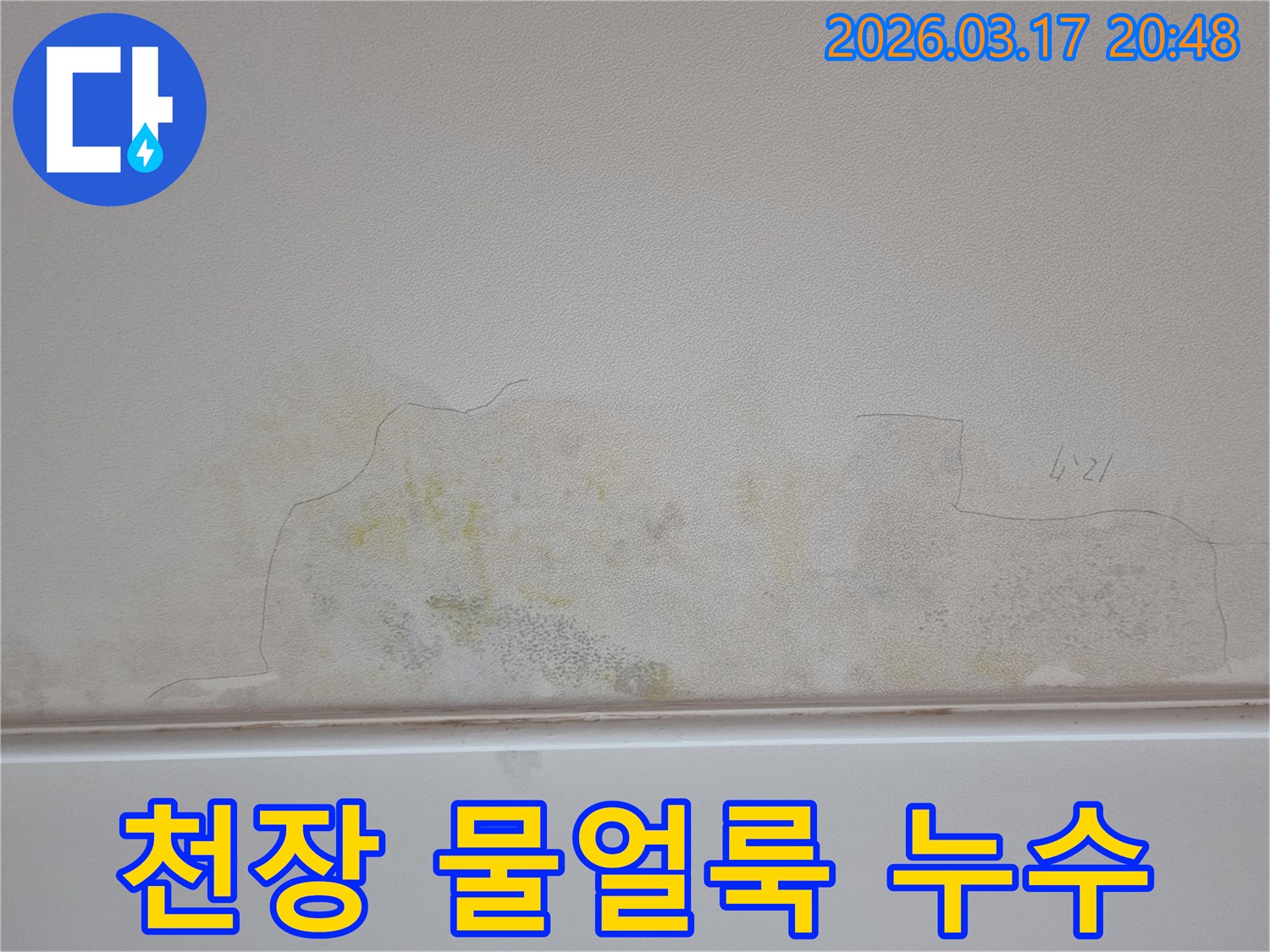 누수 발생으로 천장에 생긴 젖은 흔적과 곰팡이-신속한 조치가 필요합니다