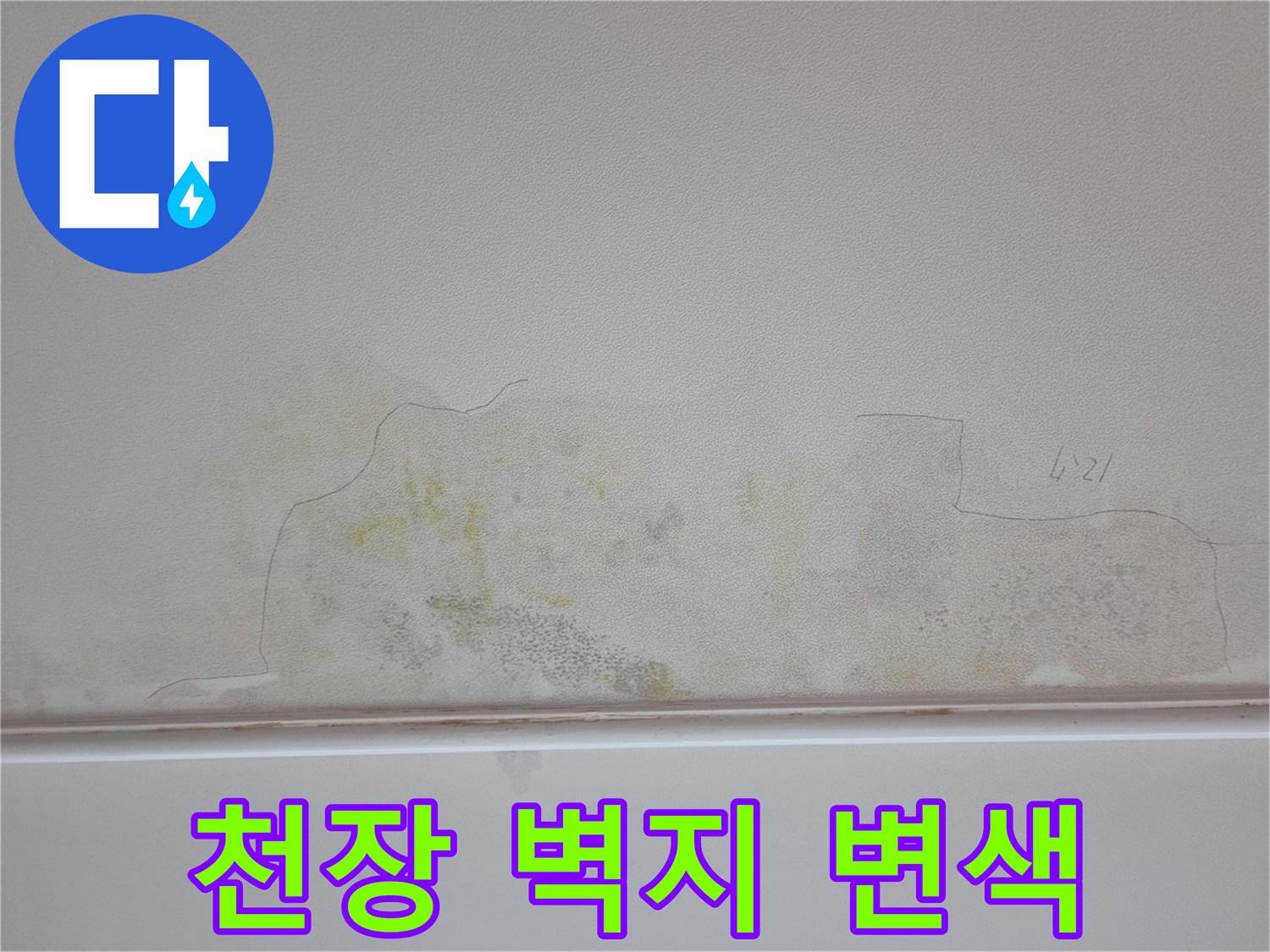 분당 정자동 아파트-천장 벽지가 누수로 인해 노랗게 변색된 모습