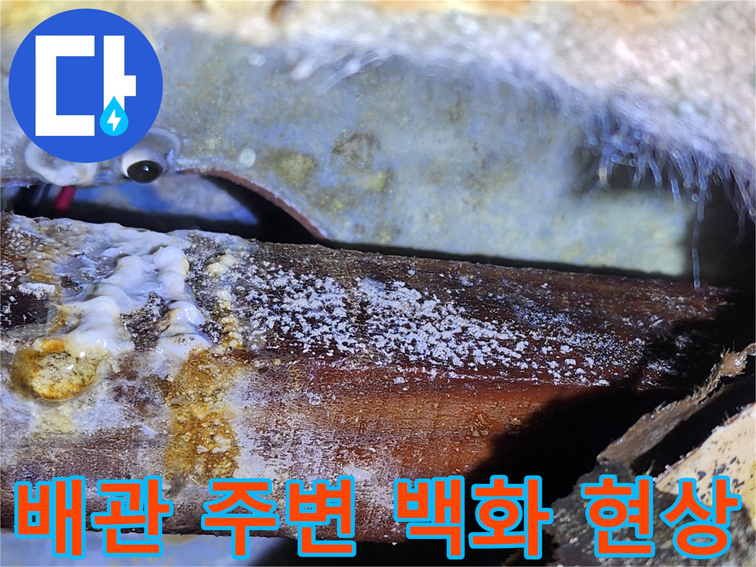 천장 목재 구조물-습기로 인해 발생한 하얀 석회 자국과 오염 부위