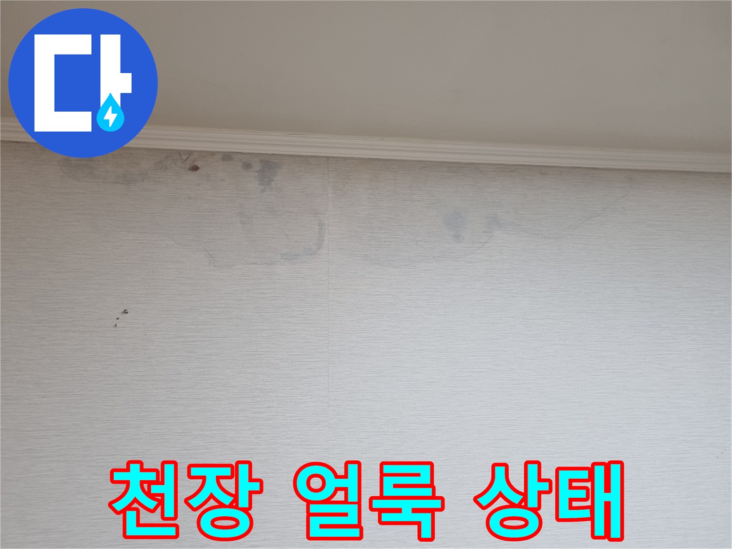 천장 벽지가 젖어 변색된 누수 피해 부위
