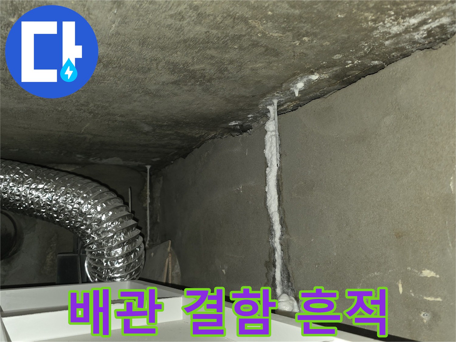 천장-경계부의-하얀색-석회질-퇴적물