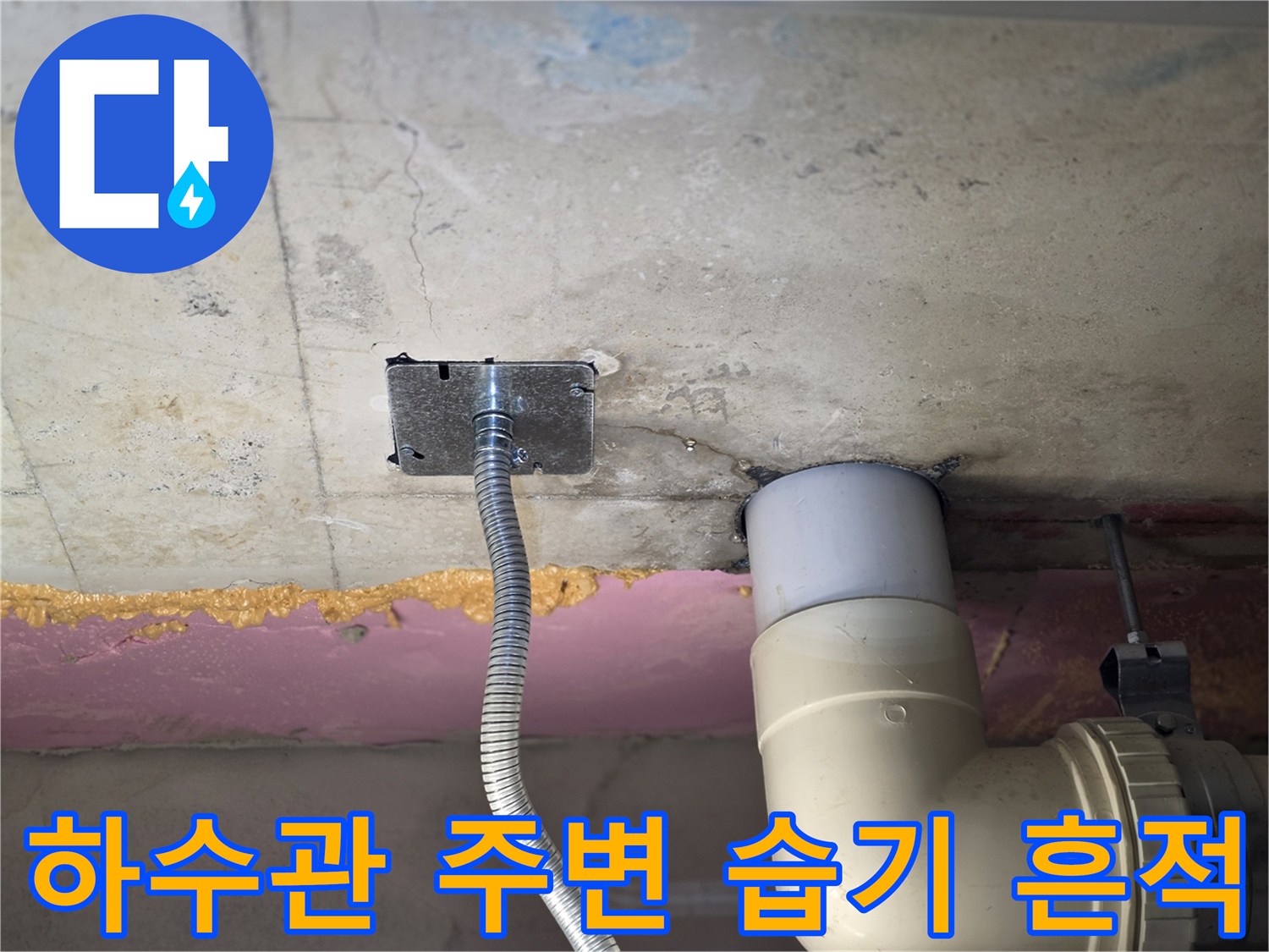 천장 하수도 배관-연결부 주변의 젖은 슬래브 상태