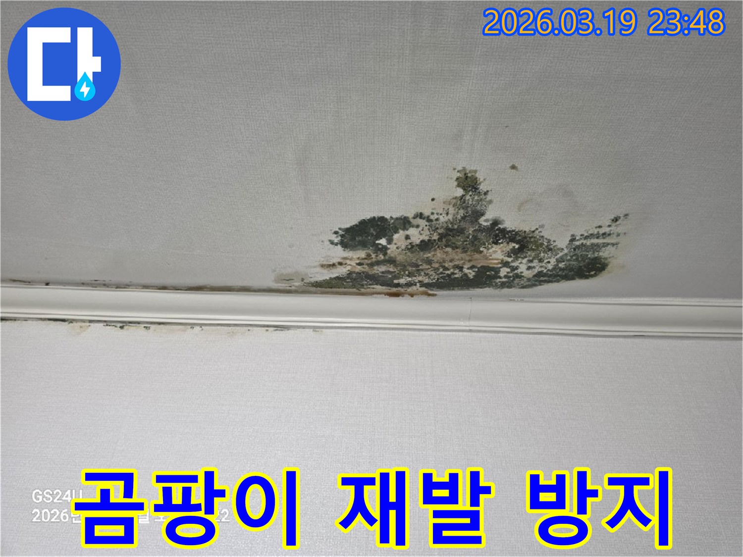 누수로-인해-천장-벽지에-생긴-심각한-곰팡이-오염-현장으로-재발-방지-공사가-필요한-상태