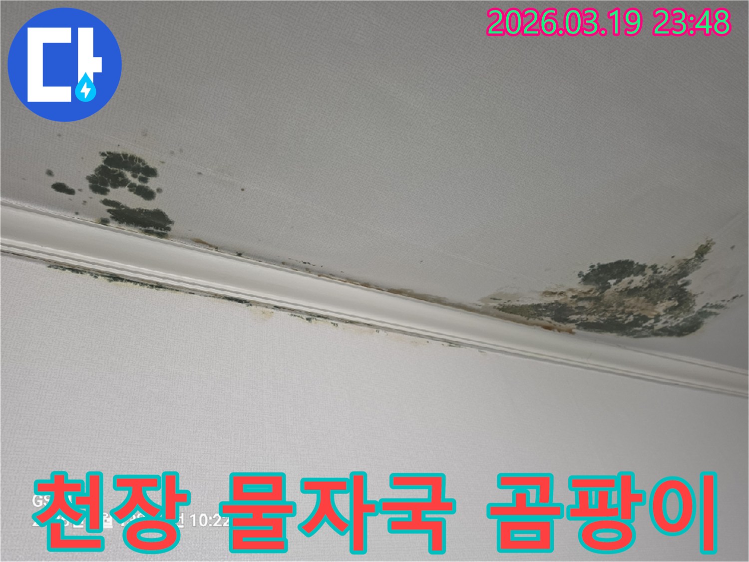 천장-물자국과-곰팡이-발생-누수-피해-모습-정밀한-탐지가-필요한-상황