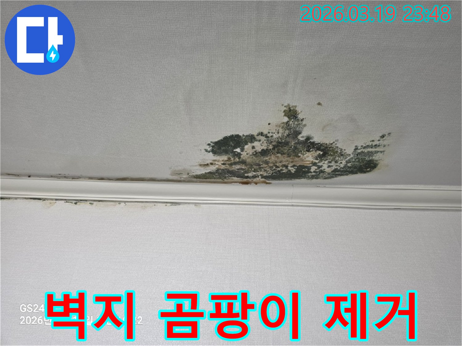 천장-벽지에-생긴-누수-곰팡이-오염을-보여주는-사진으로-전문적인-제거가-필요한-상태