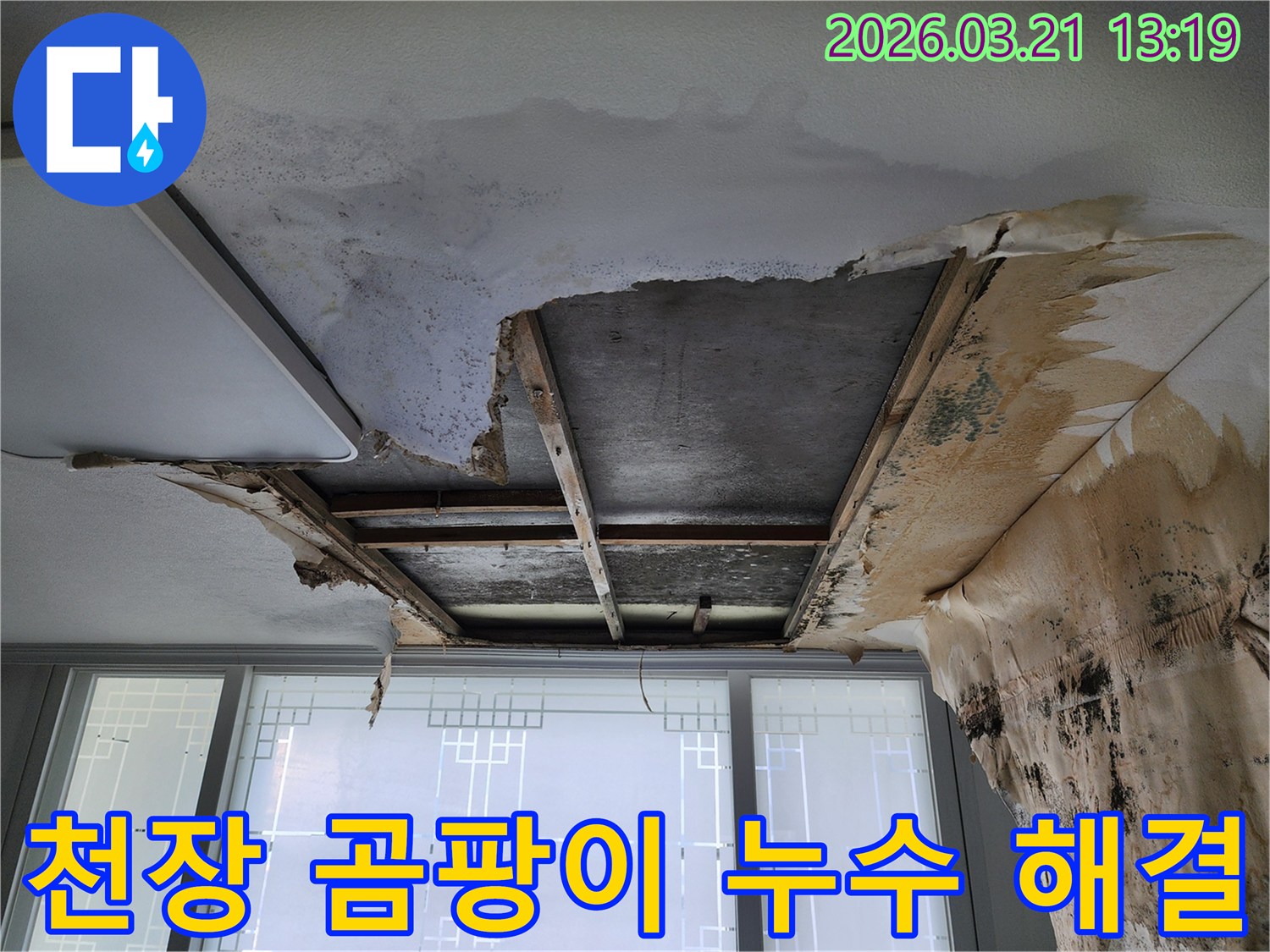 누수로-인해-천장에-번식한-곰팡이를-제거하고-복구하는-전문-작업