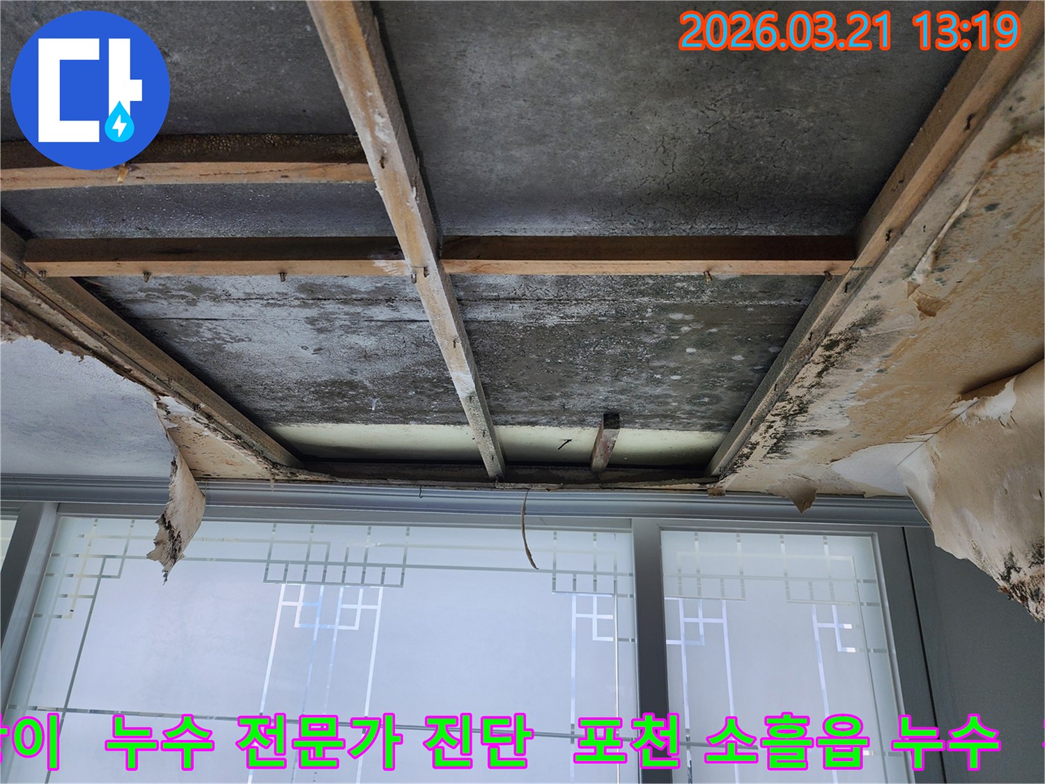 젖은-천장-마감재가-제거된-후-콘크리트-슬래브와-목재-구조물에-광범위하게-퍼진-곰팡이와-물에-젖은-흔적이-명확하게-보입니다.