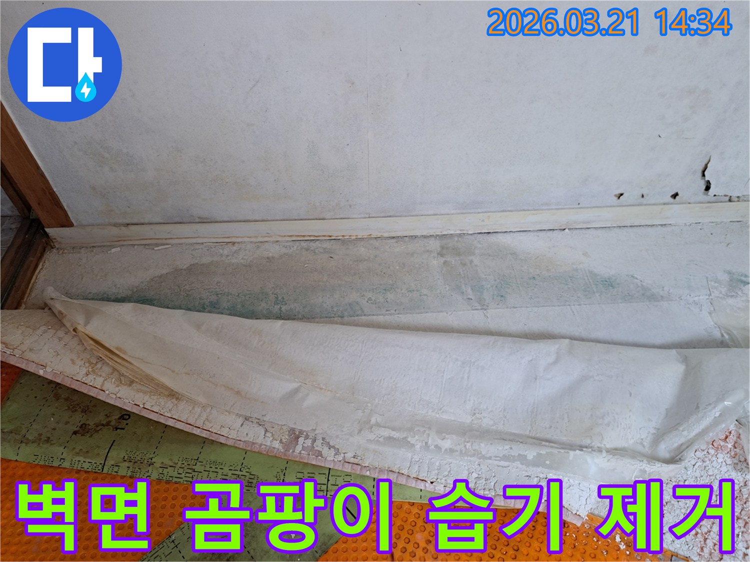 벽면 하단에 발생한 곰팡이와-바닥 습기를 제거하기 위한-누수 공사 현장의 초기 모습입니다.