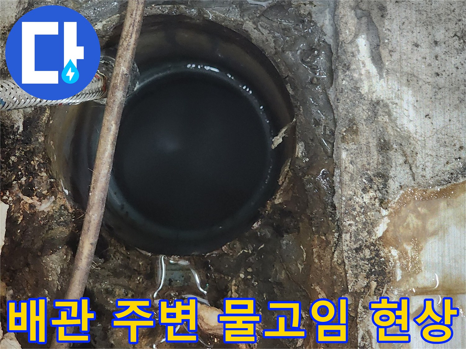 오수관 연결부 부근에-고여 있는 물과 젖은 흙