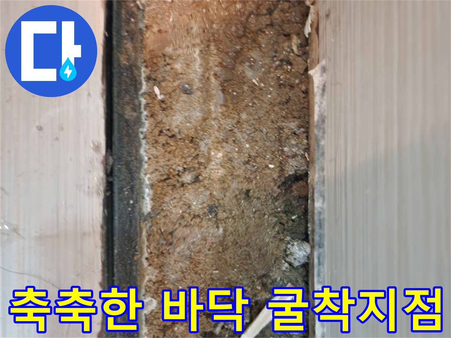 오수배관-연결부-주변의-젖은-흙-상태