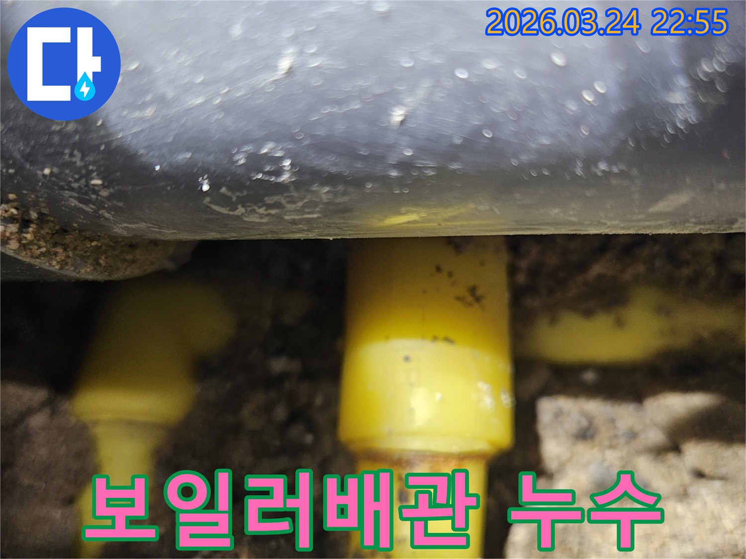 누수-공사를-위해-땅을-파고-배관을-노출시킨-모습