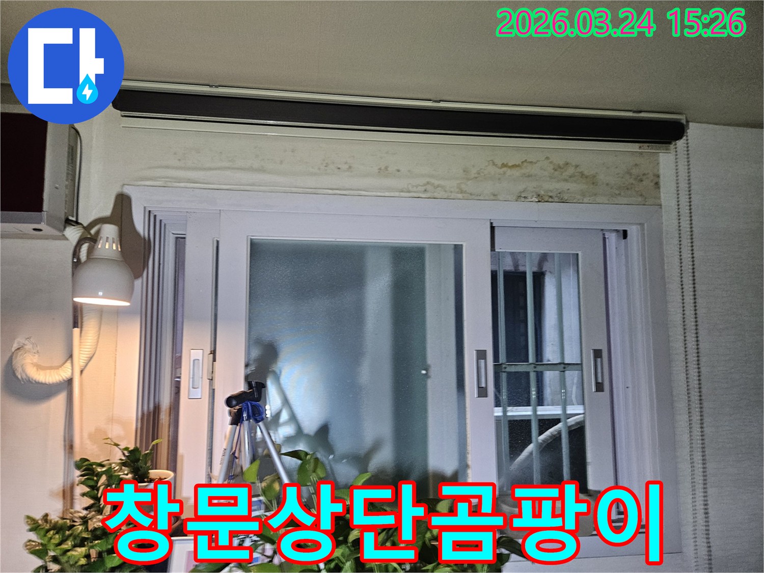 창문-상단-벽면에-발생한-심각한-누수-흔적과-곰팡이-오염을-보여주는-사진