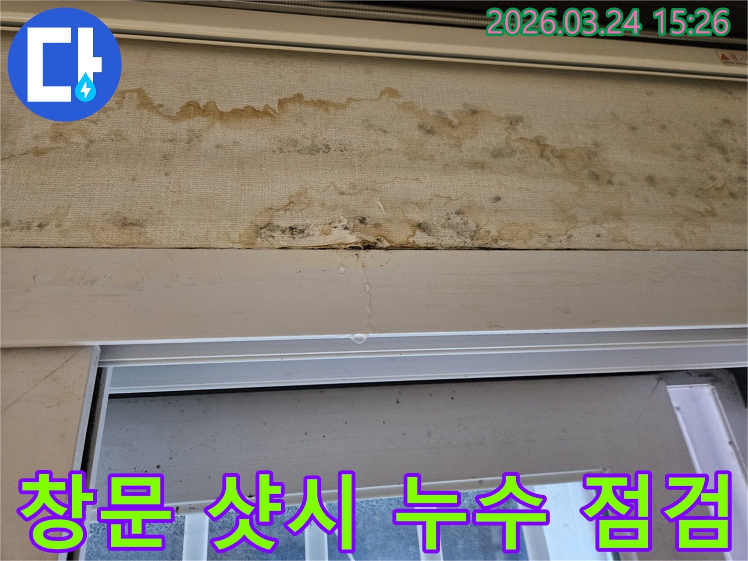 창문 샷시 주변에서 물이 새어 벽지가 젖고 곰팡이가 발생한 현장을 꼼꼼히 점검하는 모습