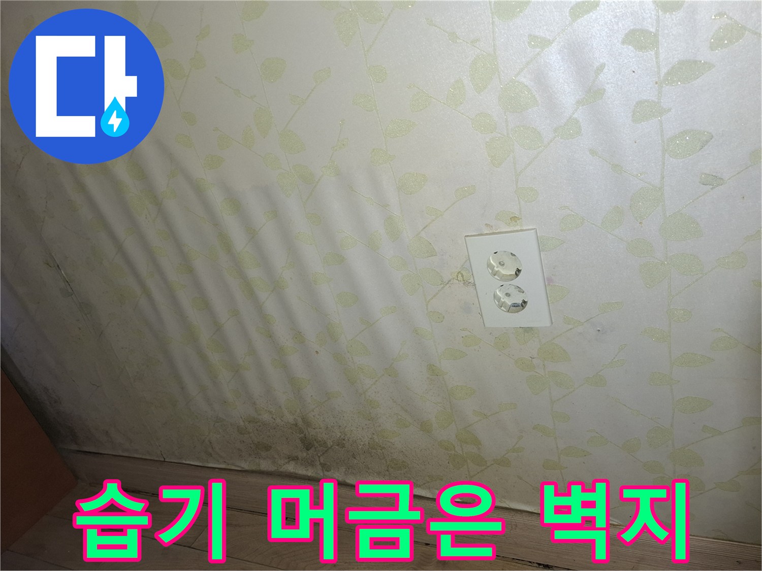 광주현장-벽면 하단 곰팡이 및 변색 부위