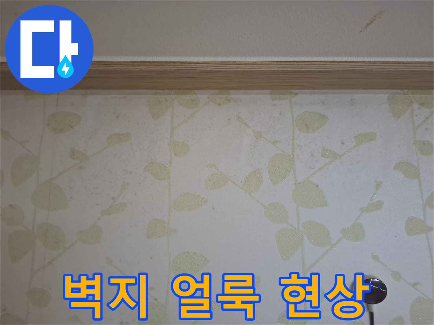 꽃무늬 벽지에 나타난 젖은 얼룩과 곰기운