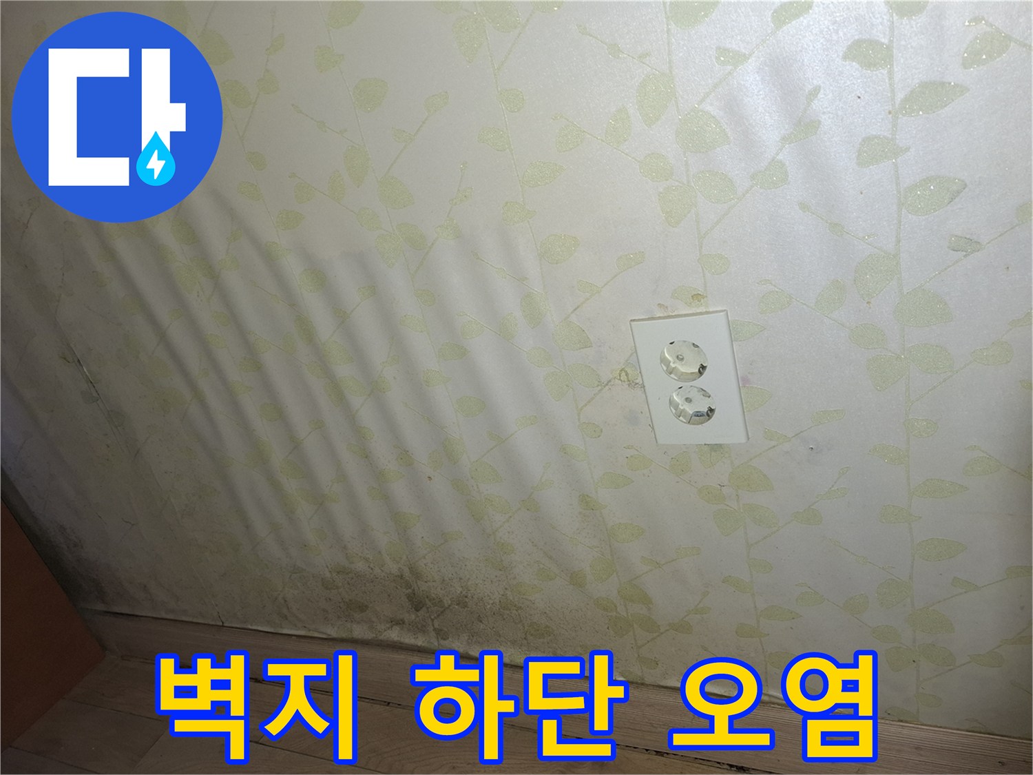 물샘 증상이 나타난 벽면의 곰팡이와 얼룩 이미지