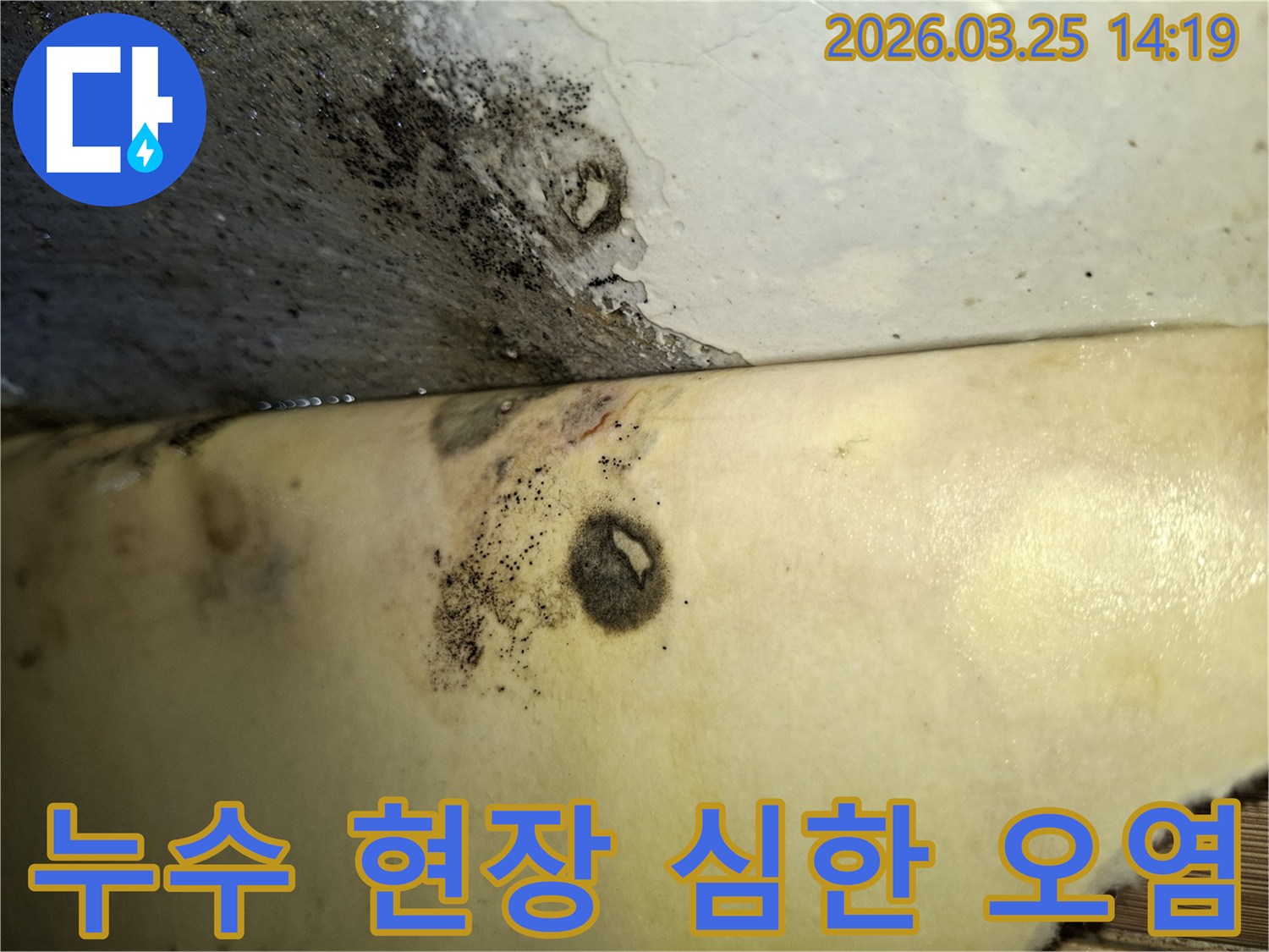 벽과 천장 사이-누수로 인한 곰팡이와 변색이 심각한 상태를 보여주는 사진입니다.
