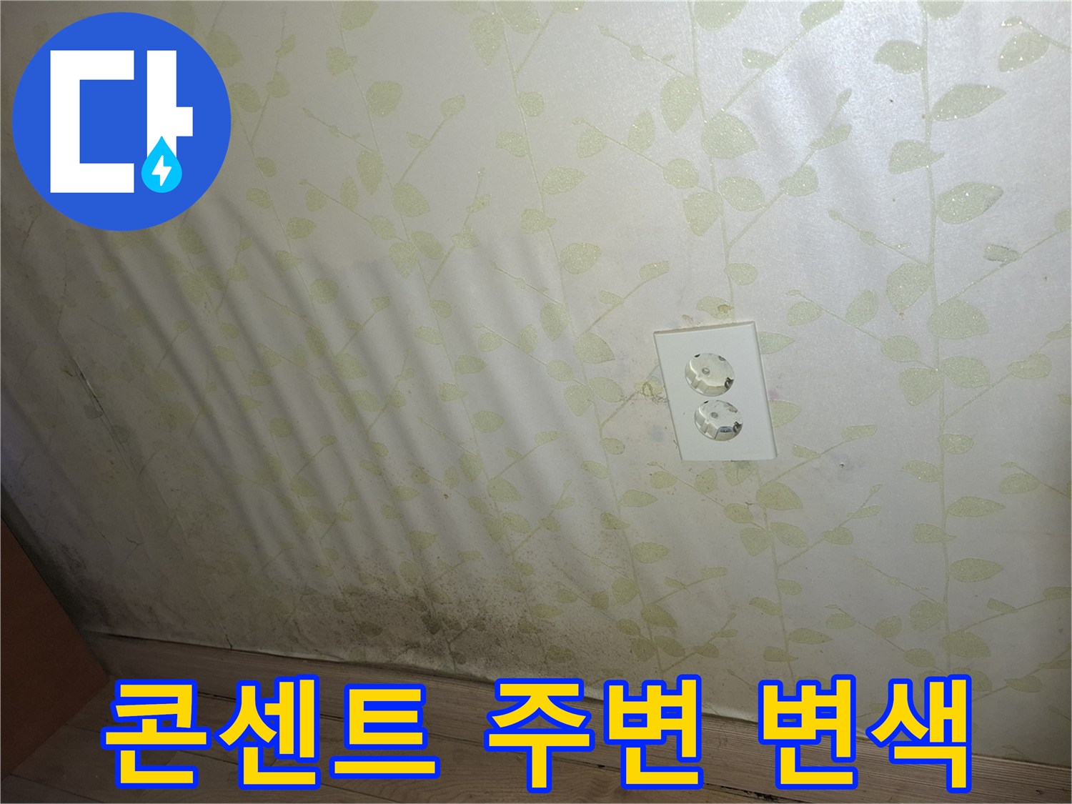 벽지 하단부-습기로 인한 곰팡이 및 얼룩