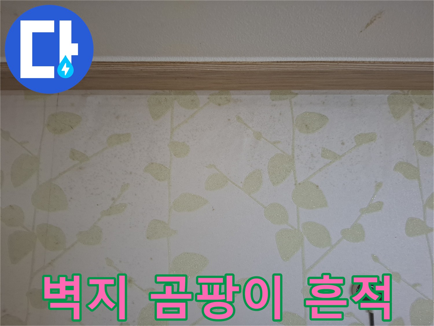습기가 번진-벽지의 변색 부위