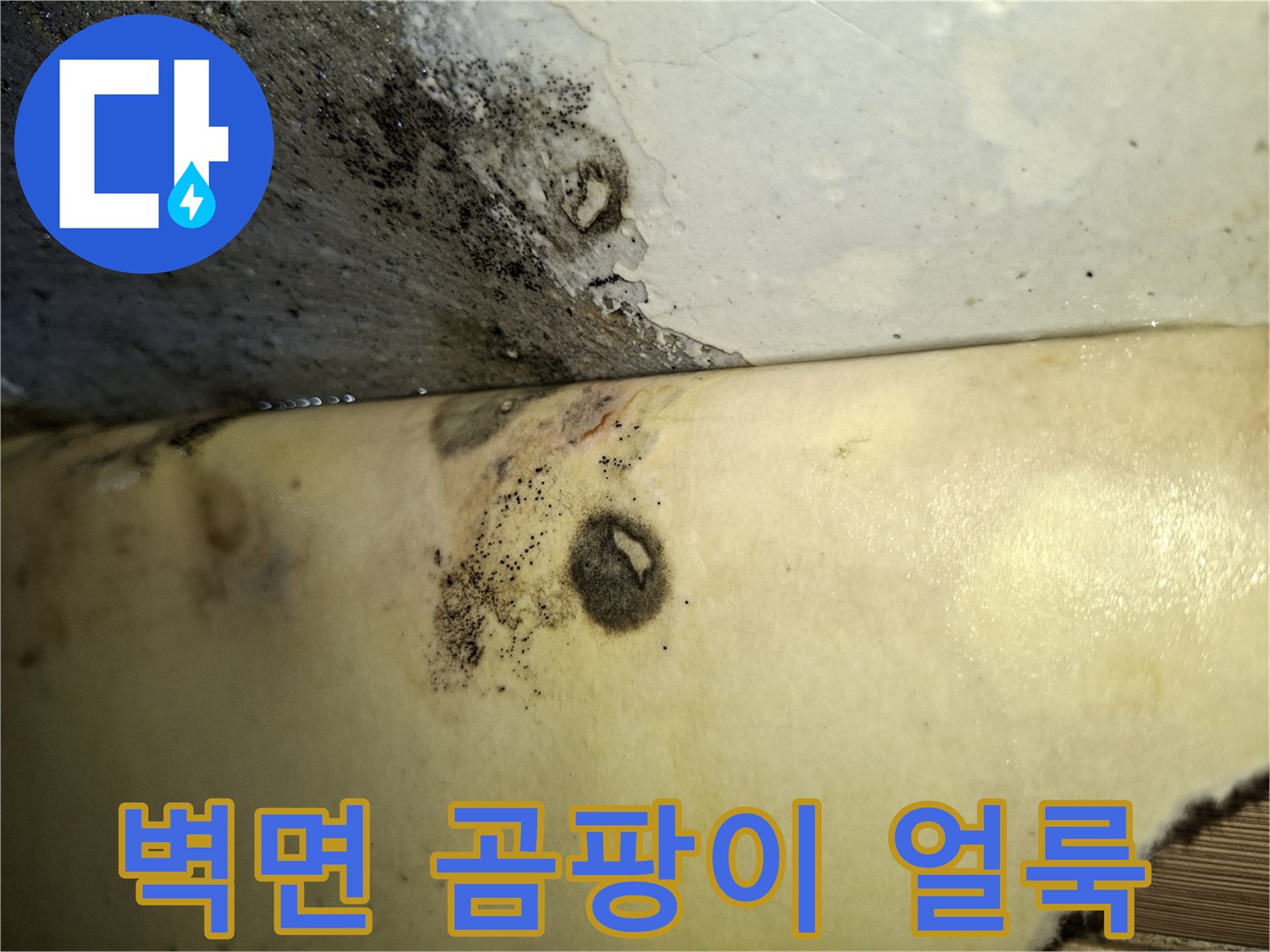 습기로 오염된 벽면 마감재와 곰팡이 흔적