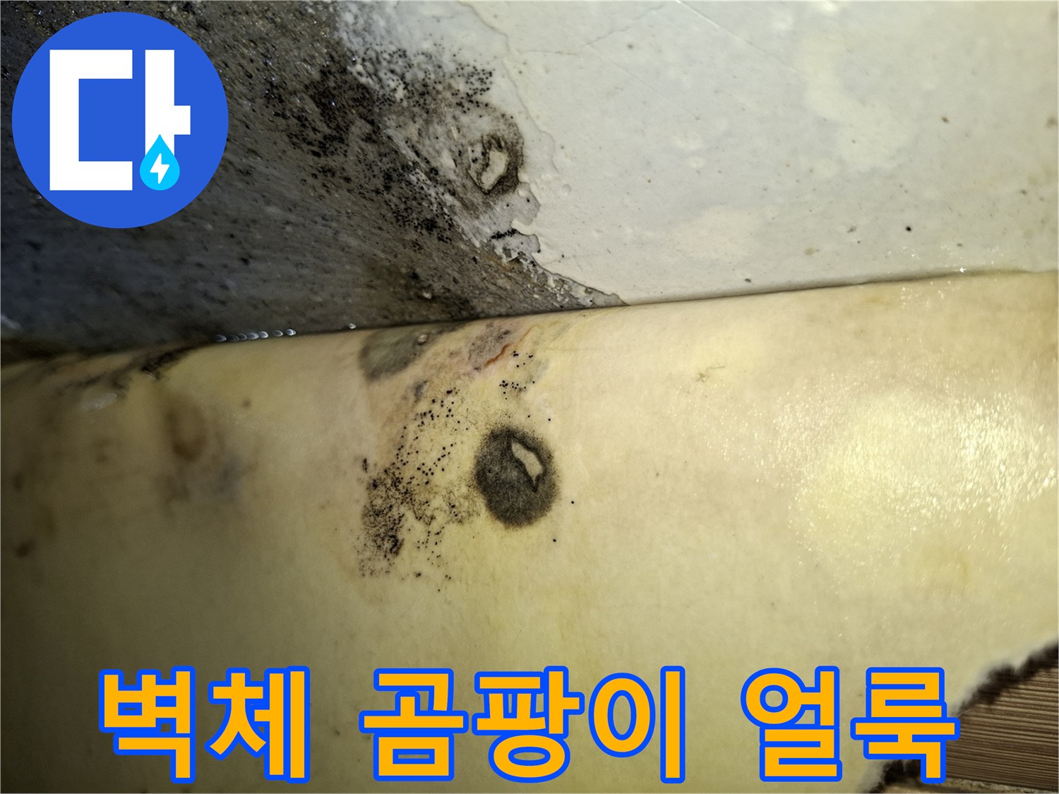 습기침투-벽면 하단의 검은 곰팡이 오염