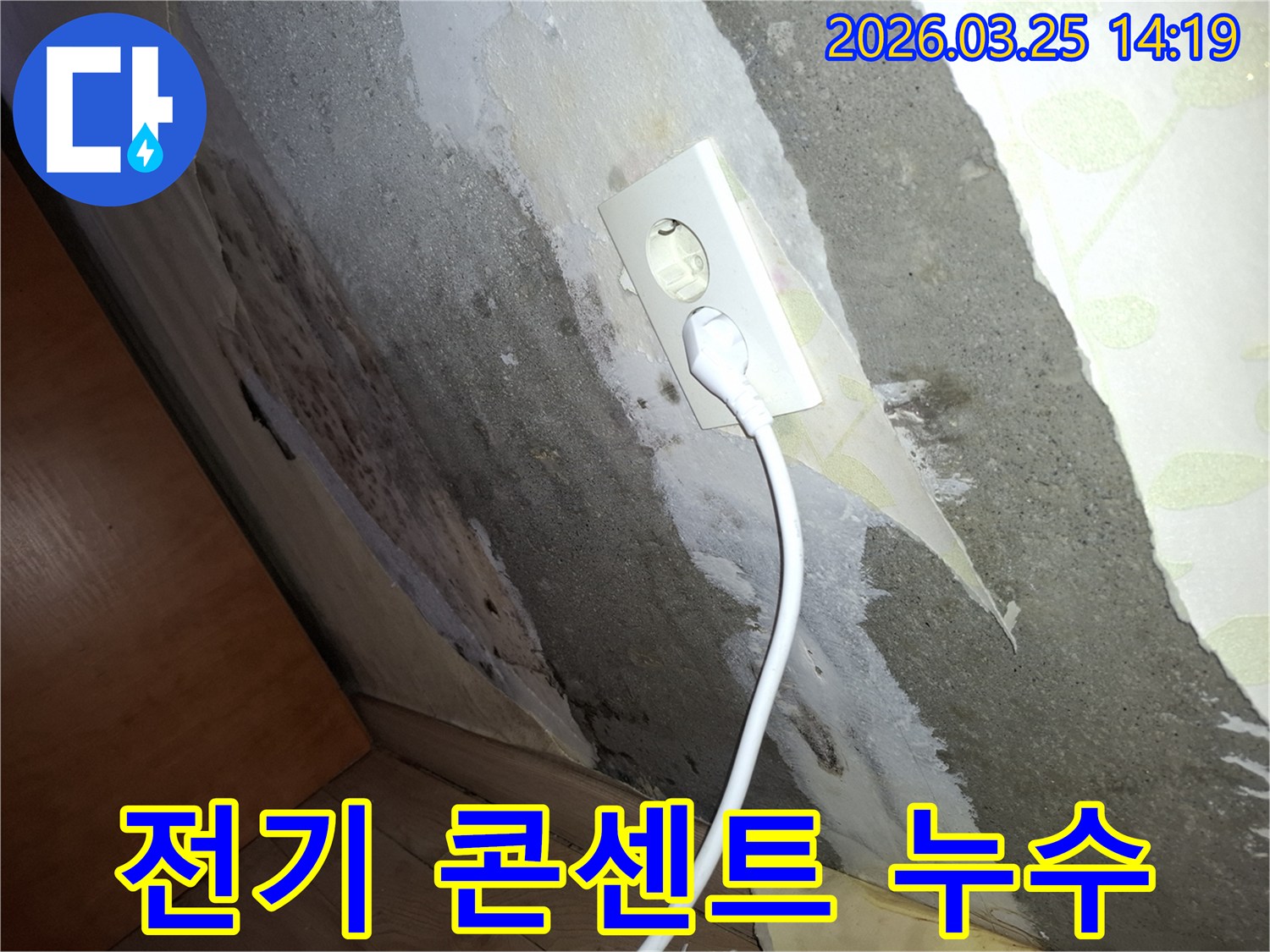 젖은-벽과-콘센트-주변에-심하게-번진-곰팡이-흔적을-보여주는-누수-현장-사진
