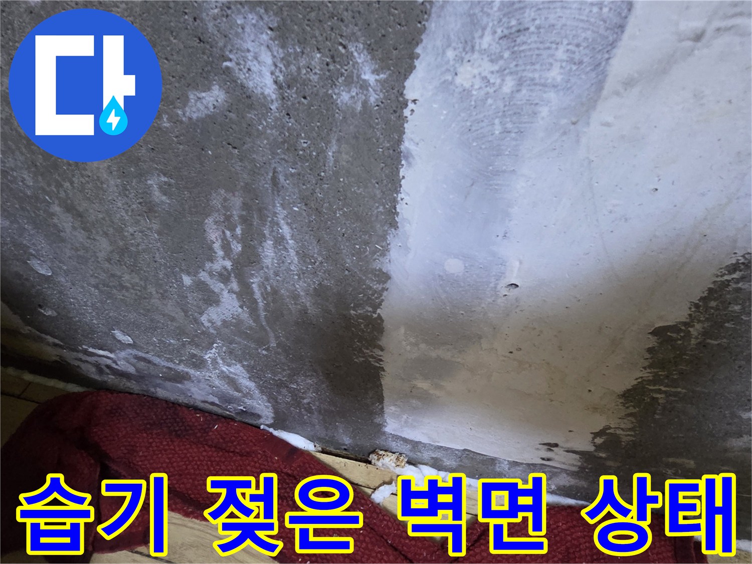 축축하게-젖어있는-콘크리트-벽체와-백화현상