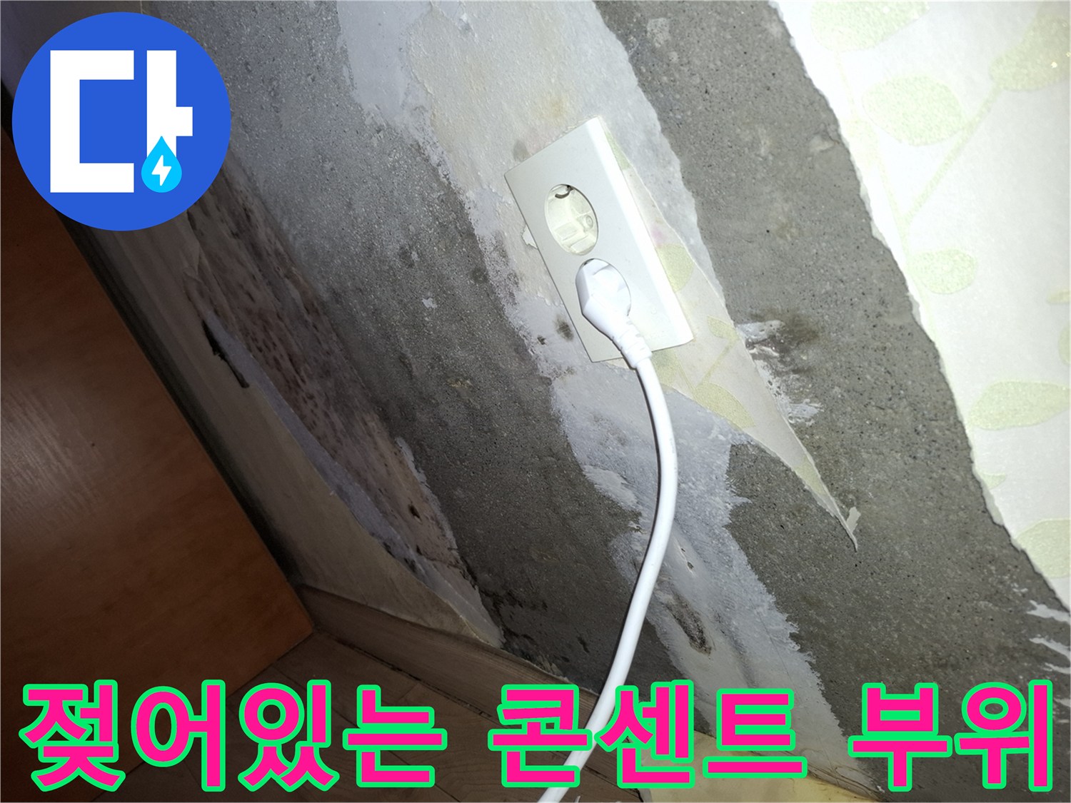 콘센트 주변의 젖은 콘크리트와 벗겨진 벽지 잔해