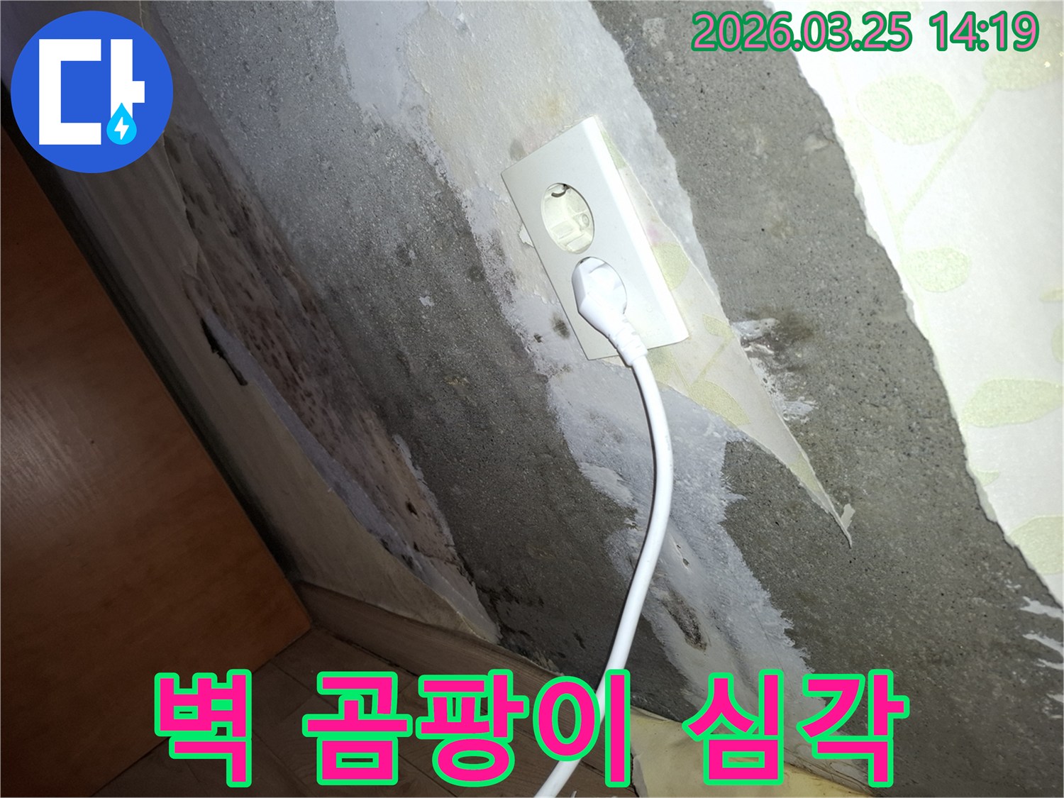 콘크리트-벽에-물이-스며들어-콘센트-주변까지-젖고-곰팡이가-번식한-누수-진단-이미지
